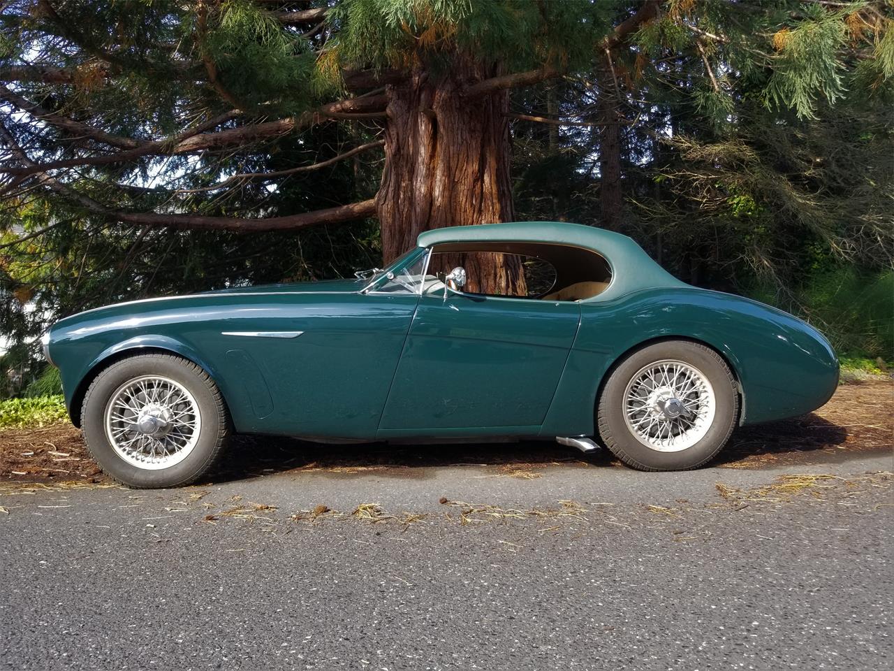 1953 Austin-Healey 100-4