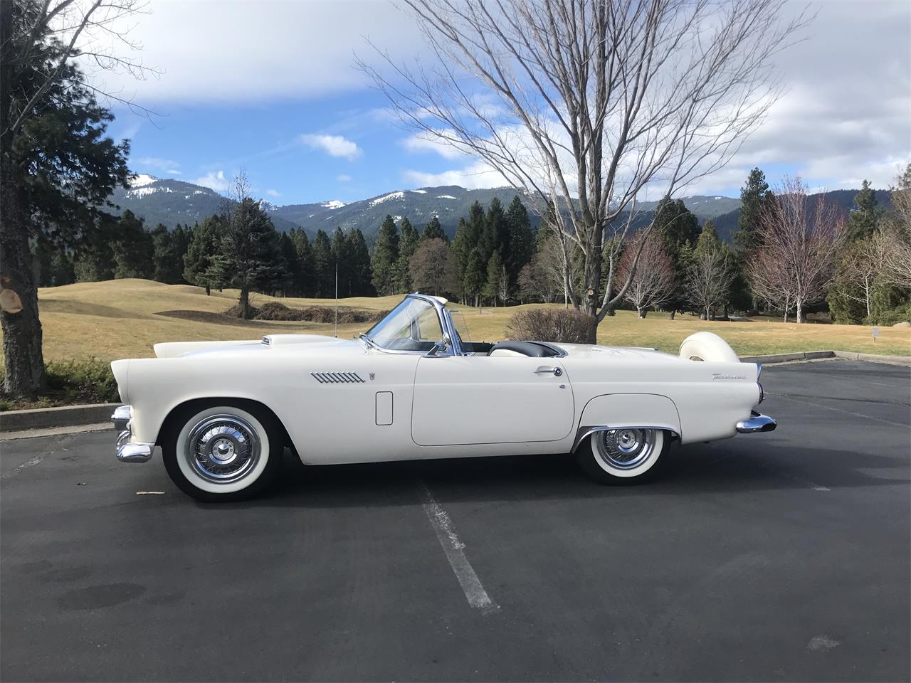1956 Ford Thunderbird