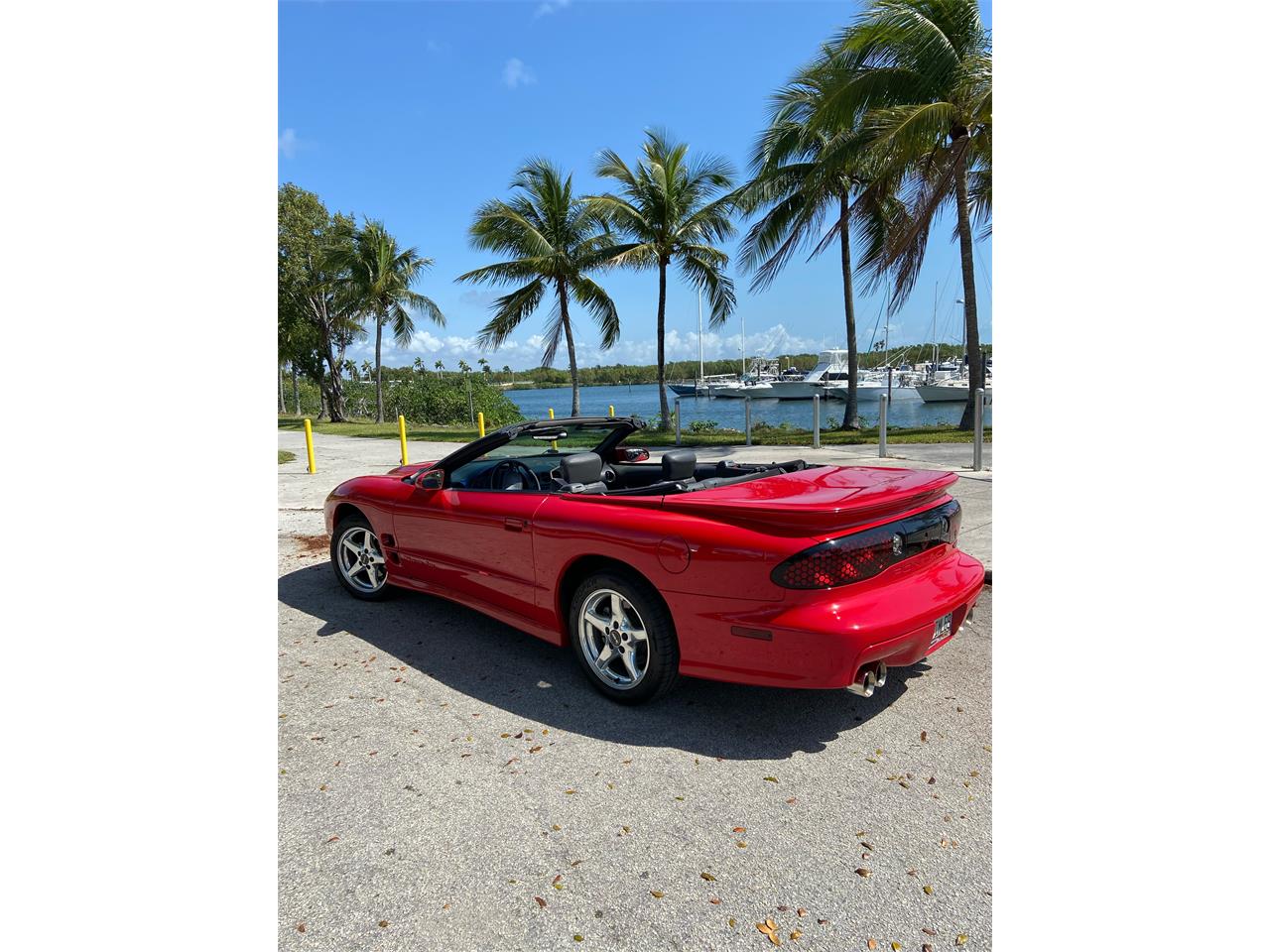 1999 Pontiac Firebird Trans Am WS6