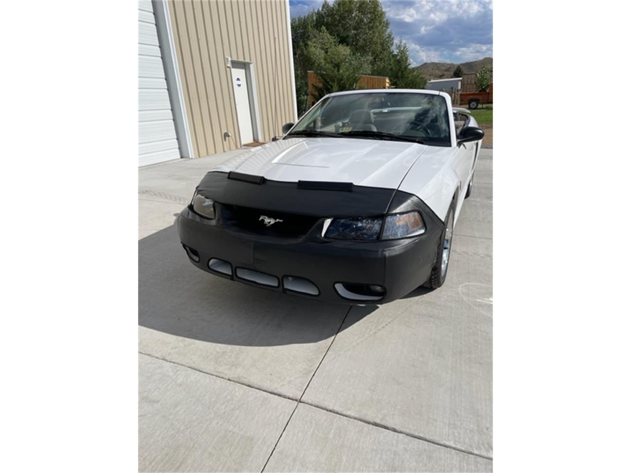 2001 Ford Mustang SVT Cobra