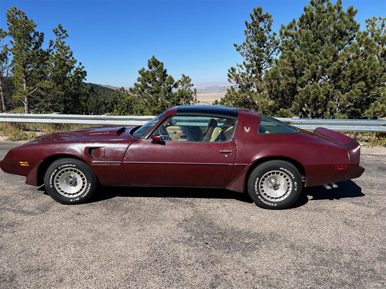 1981 Pontiac Firebird Trans Am