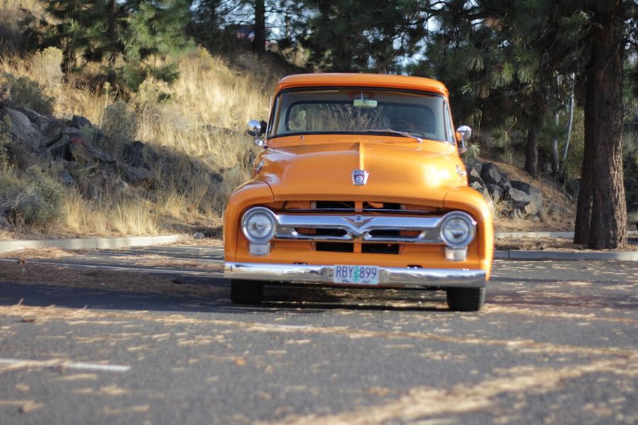 1956 Ford F100