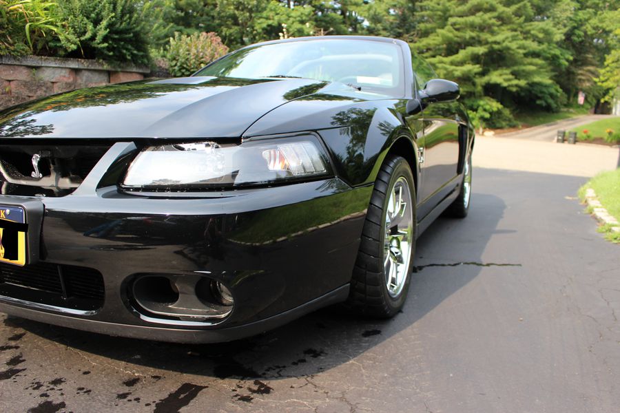 2003 Ford Mustang SVT Convertible