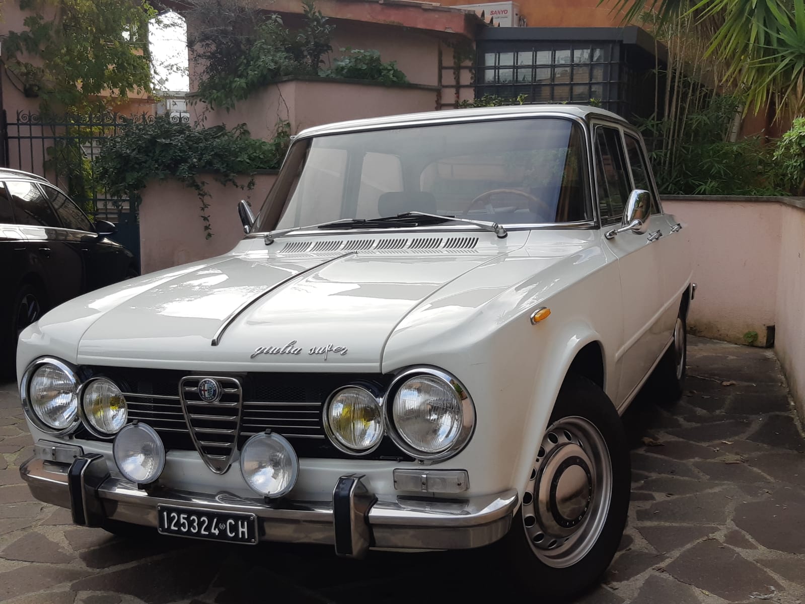 1969 Alfa Romeo 105 Series Sedan 