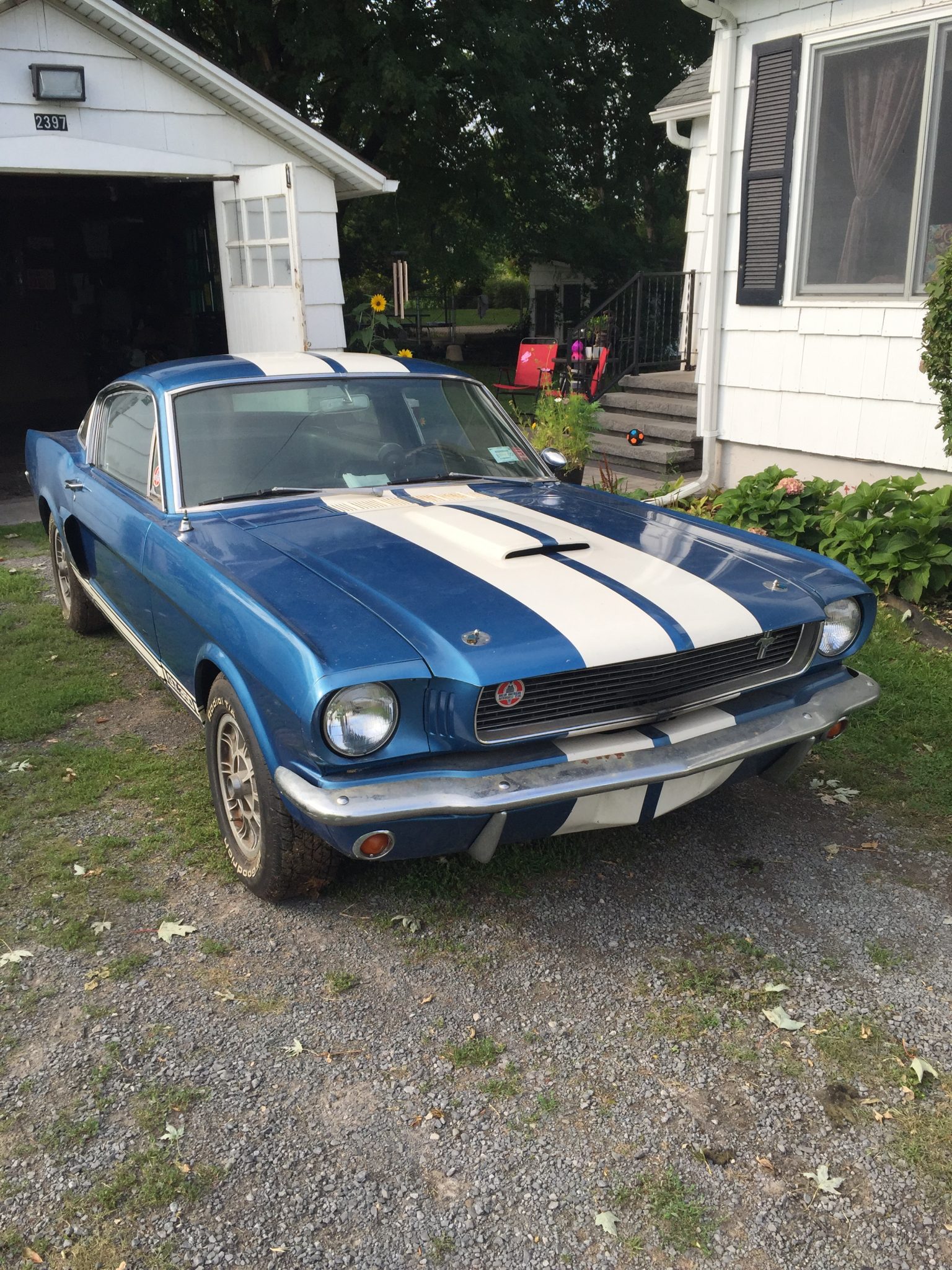 1966 Shelby Mustang GT350 & GT500 