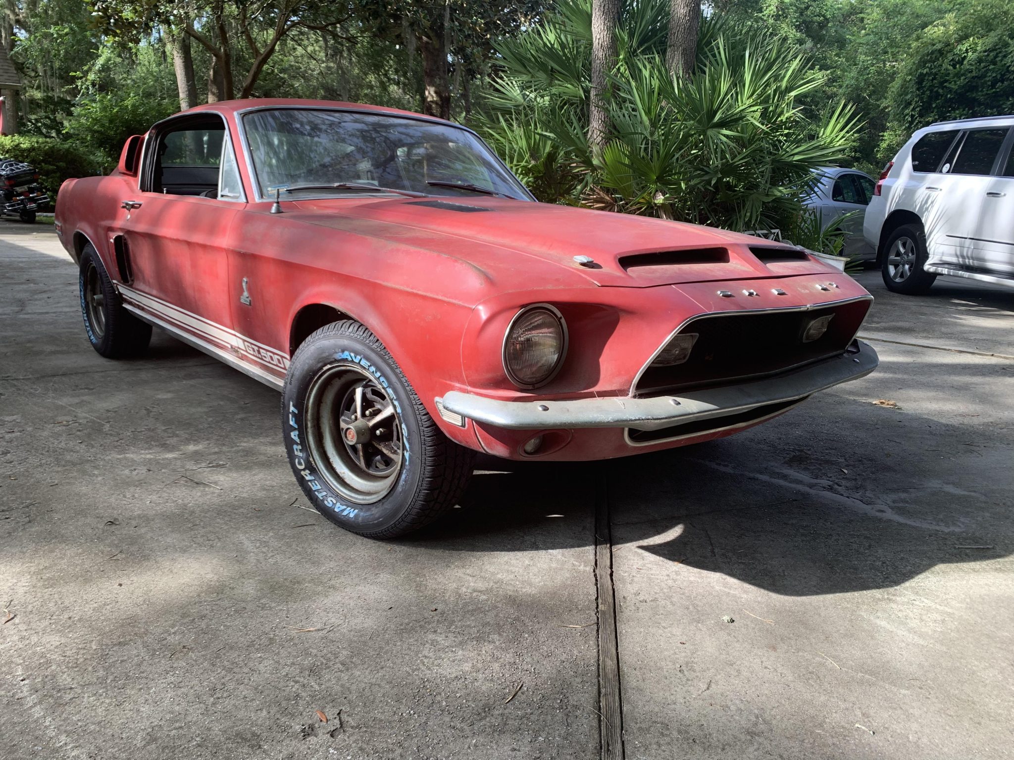 1968 Shelby Mustang GT350 & GT500 