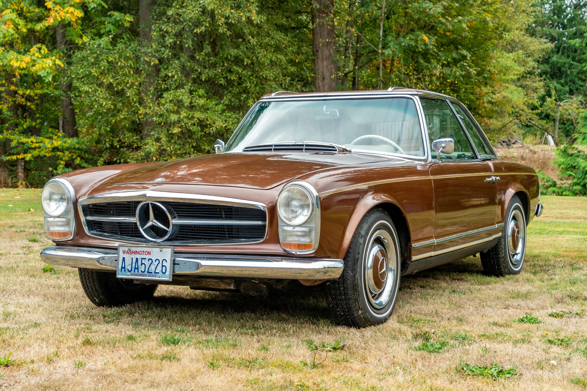 1967 Mercedes-Benz W113 SL 