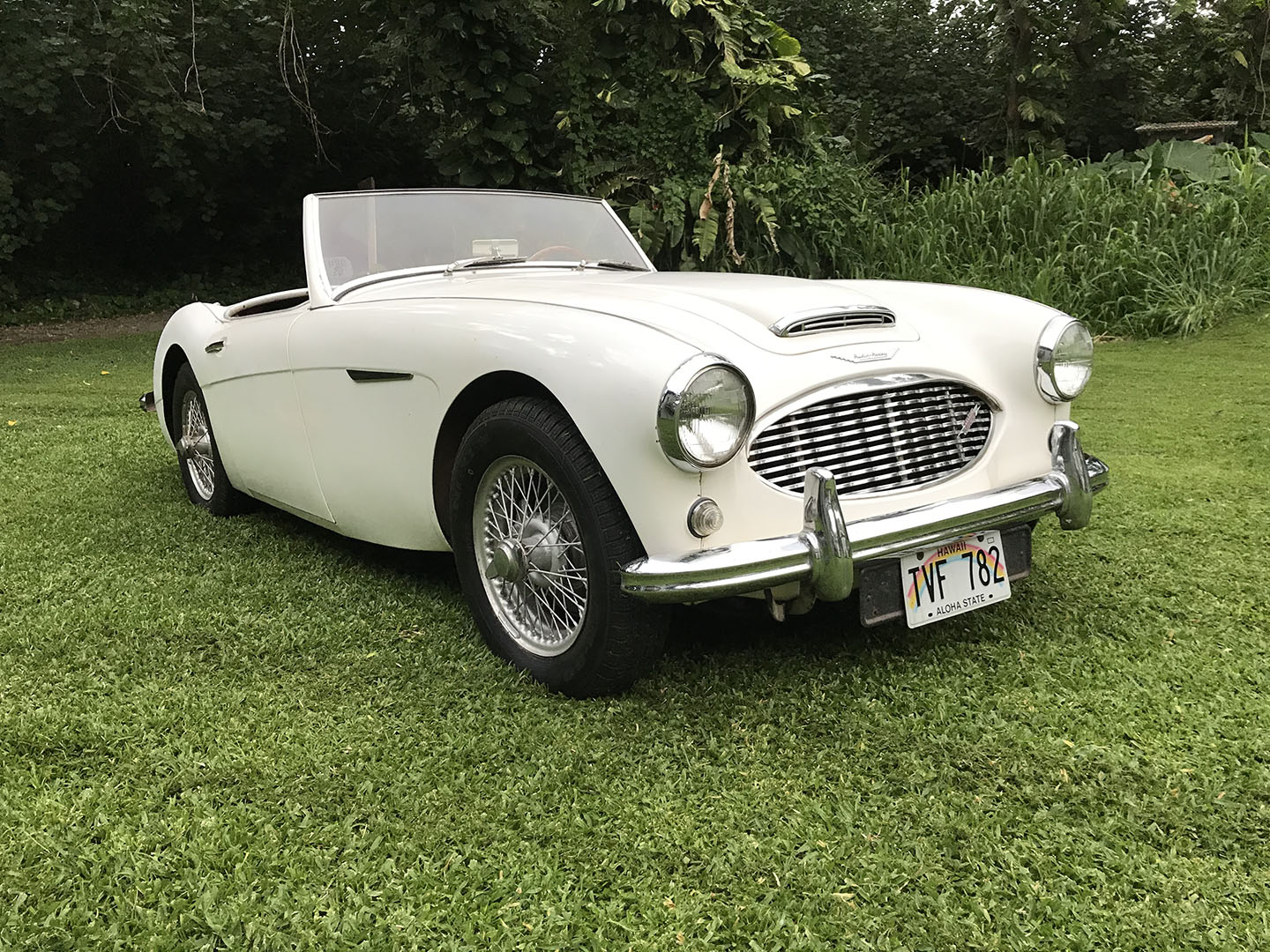 1961 Austin-Healey 3000 