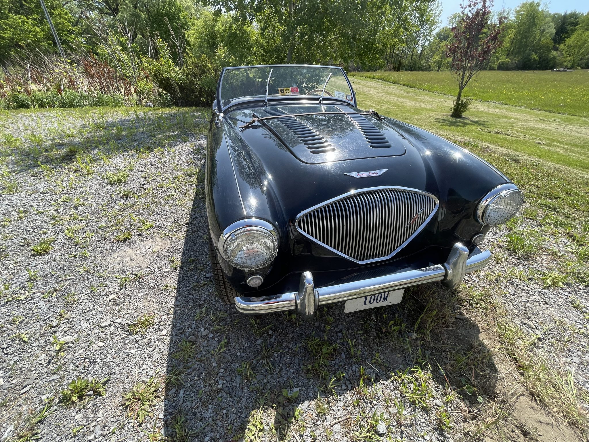 1956 Austin-Healey 100 