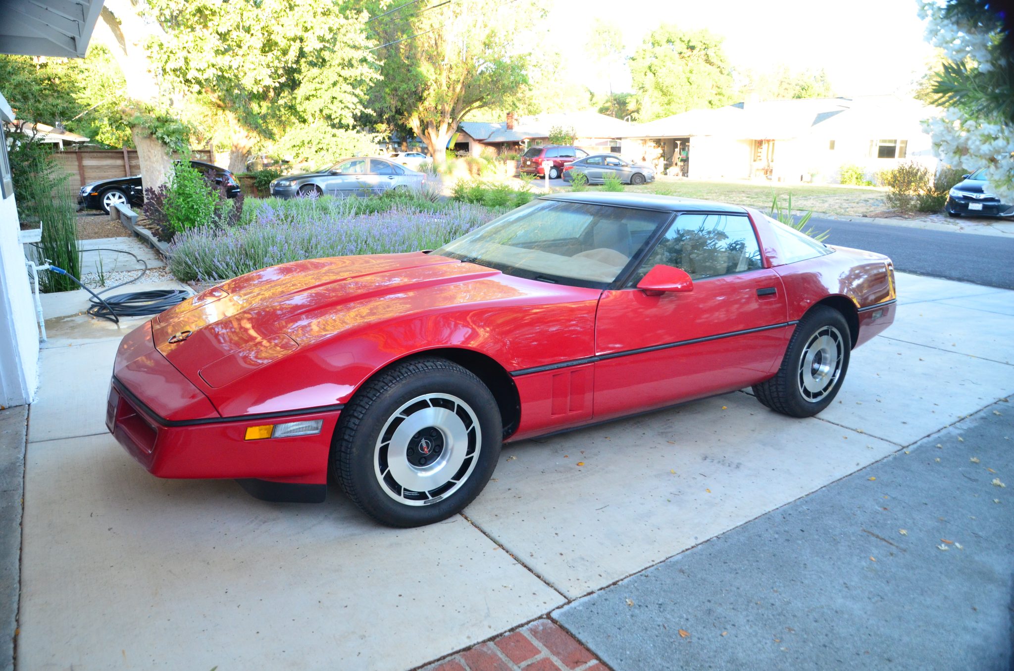 1984 Chevrolet Corvette C4 