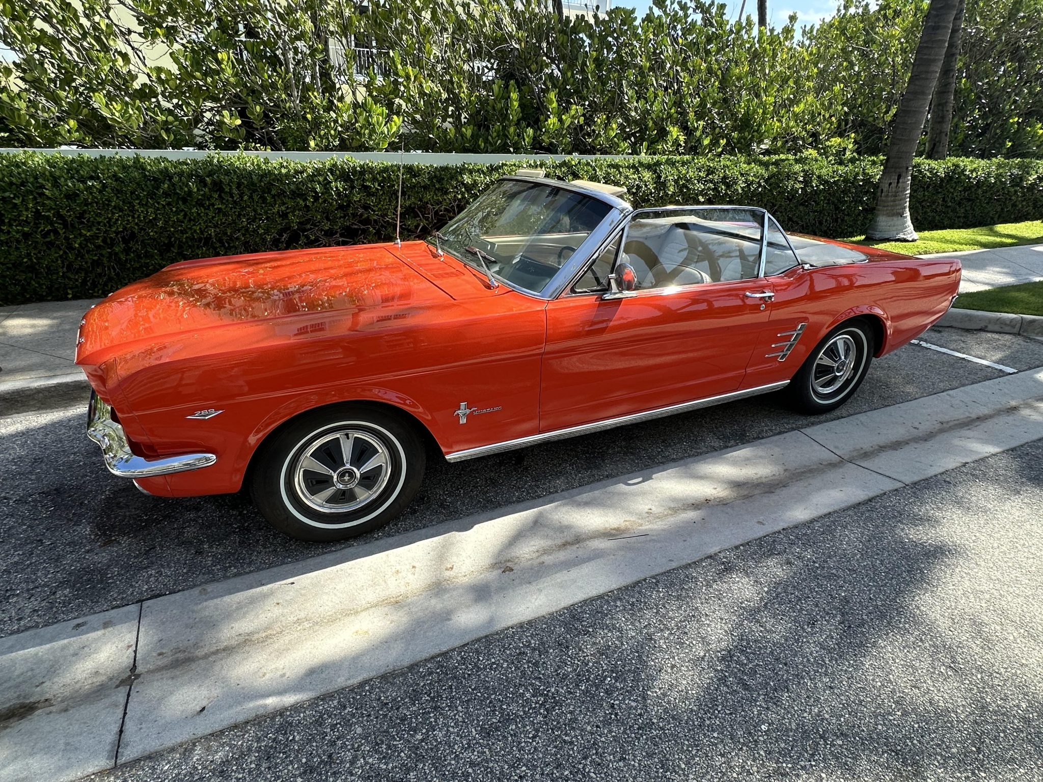 1966 Ford Mustang 1964.5-1966 