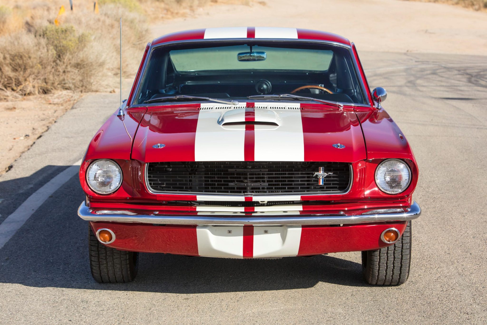 1966 Shelby Mustang GT350 & GT500 