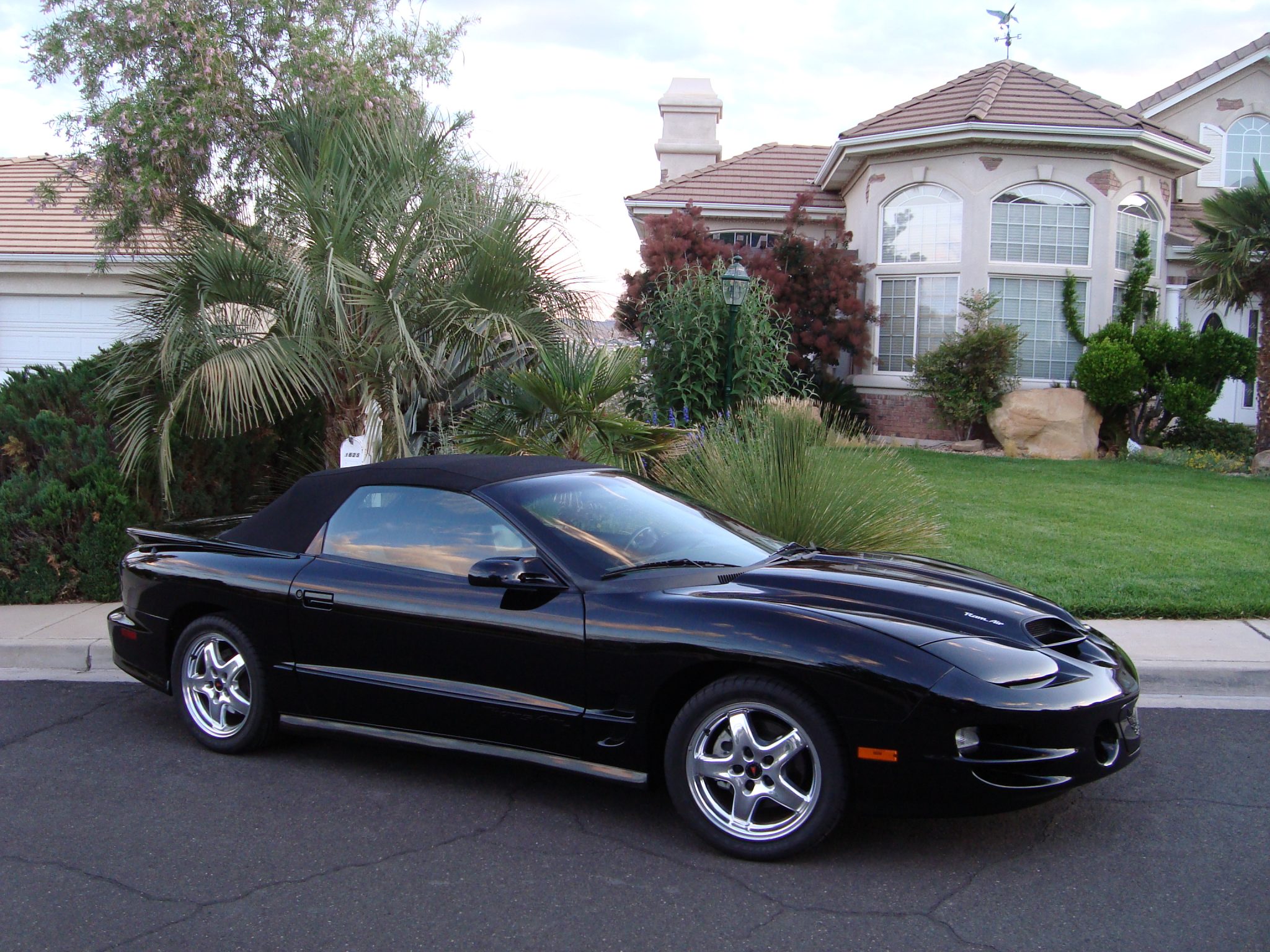 2002 Pontiac Firebird (1993-2002) 