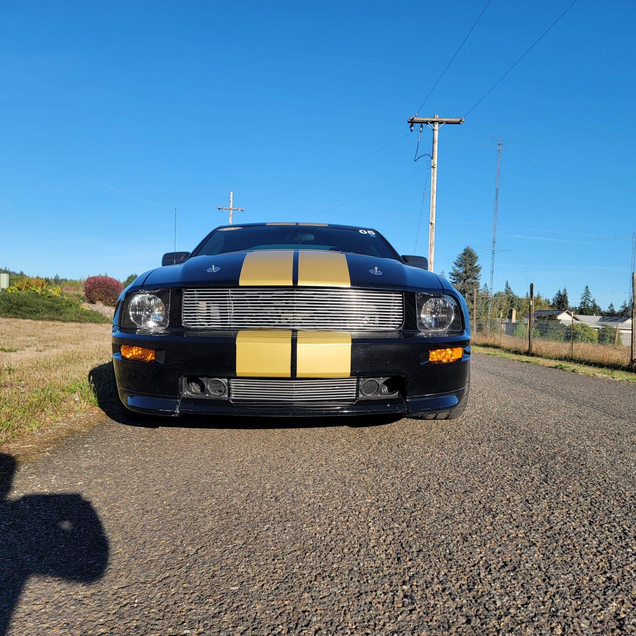 2006 Ford S197 Shelby Mustang 