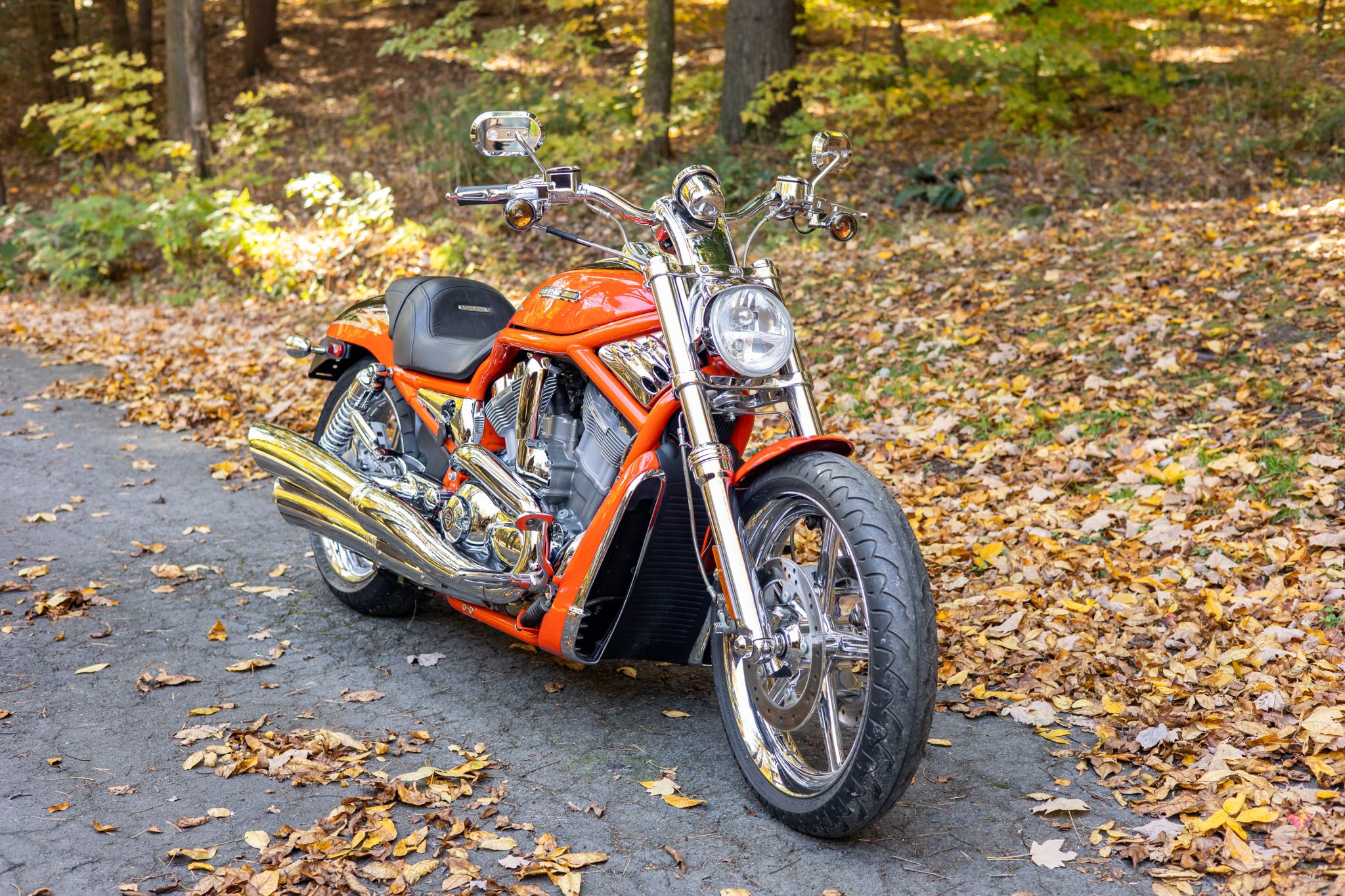 2005 Harley-Davidson V-Rod 