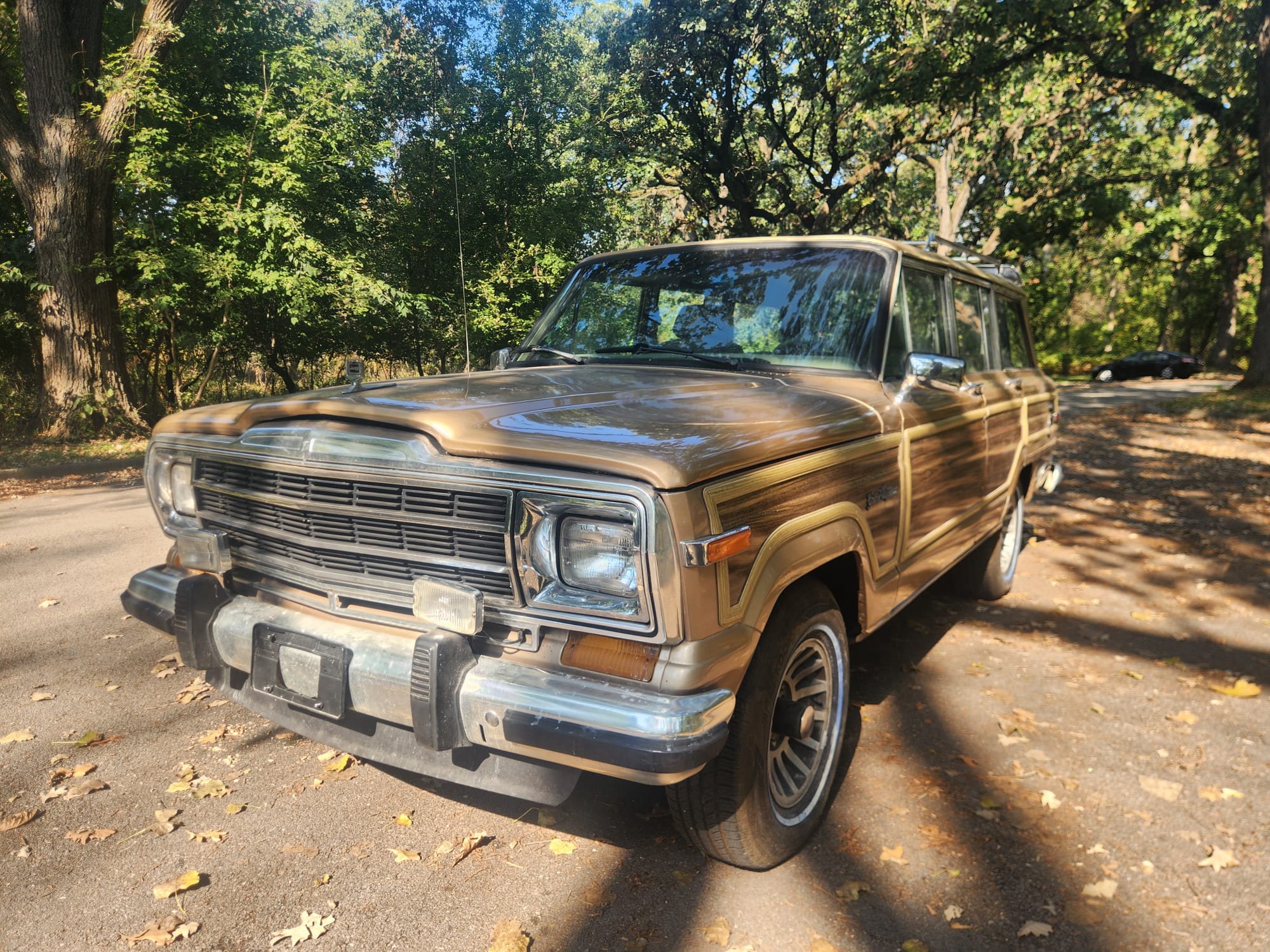 1990 Jeep SJ Grand Wagoneer 