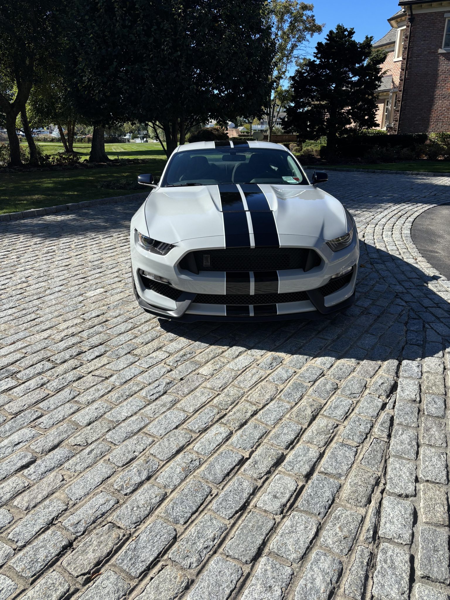2015 Ford Mustang S550 