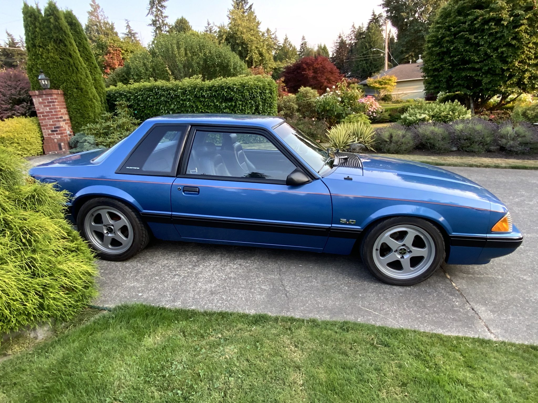 1989 Ford Fox-Body Mustang 