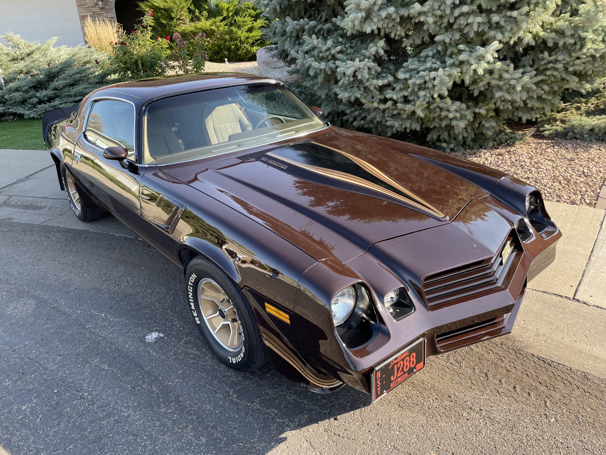 1981 Chevrolet Camaro 2nd Generation 1970-1981 
