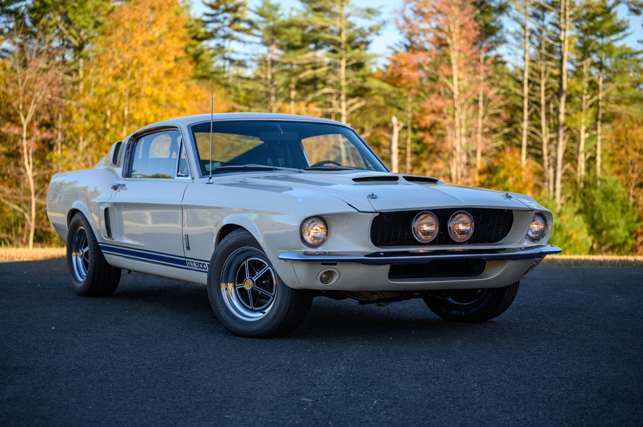 1967 Shelby Mustang GT350 & GT500 