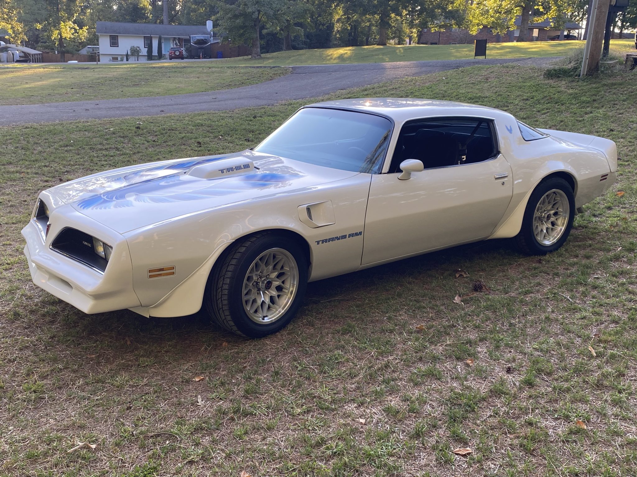 1979 Pontiac Firebird (1970-1981) 
