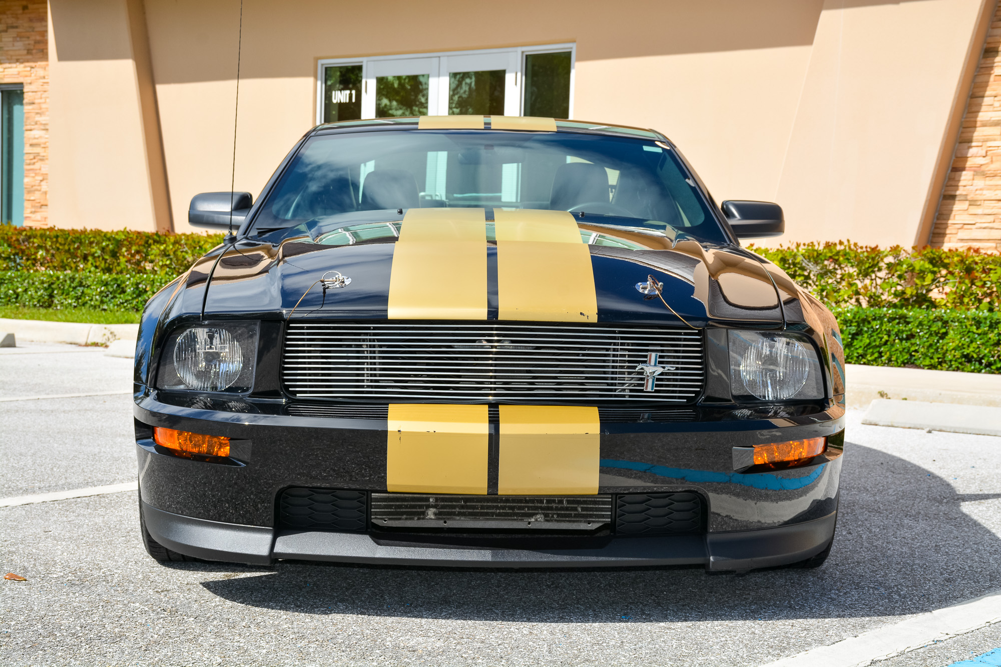 2006 Ford S197 Shelby Mustang 