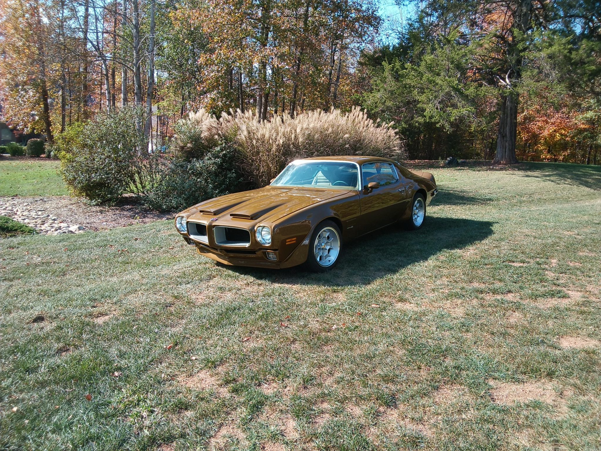 1971 Pontiac Firebird (1970-1981) 