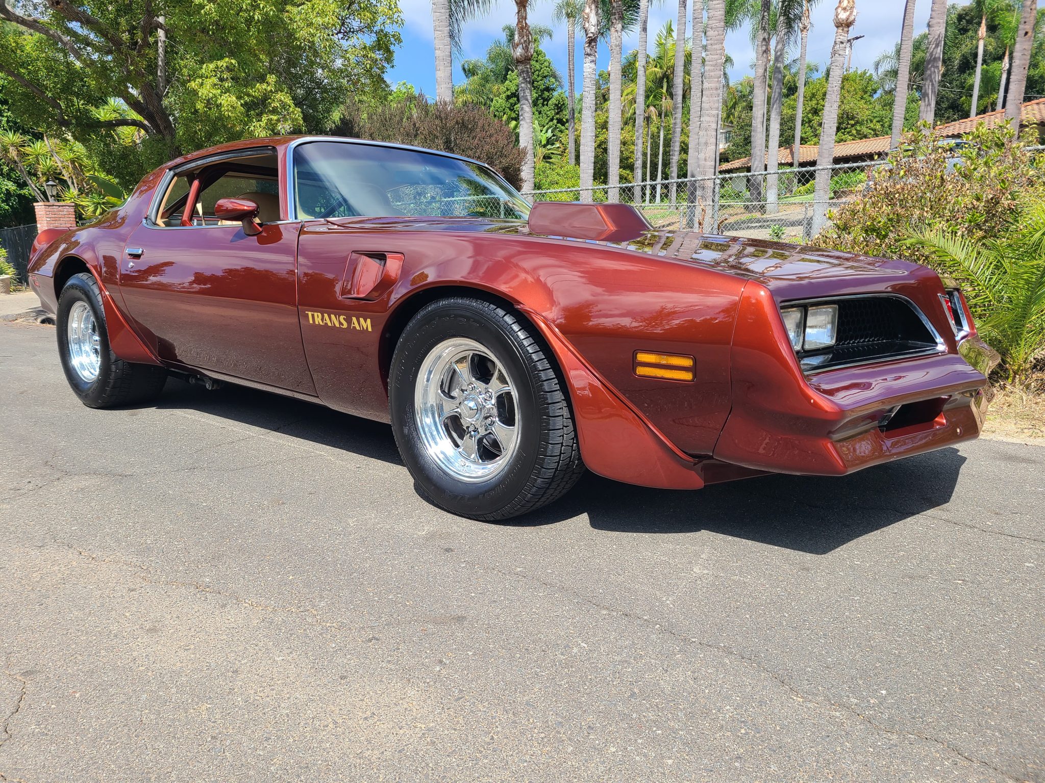 1977 Pontiac Firebird (1970-1981) 