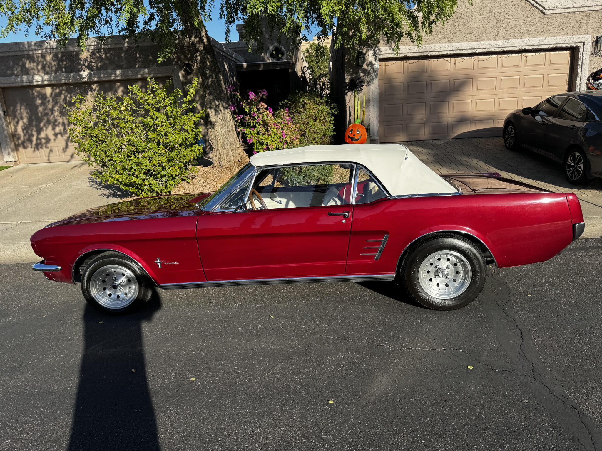 1966 Ford Mustang 1964.5-1966 