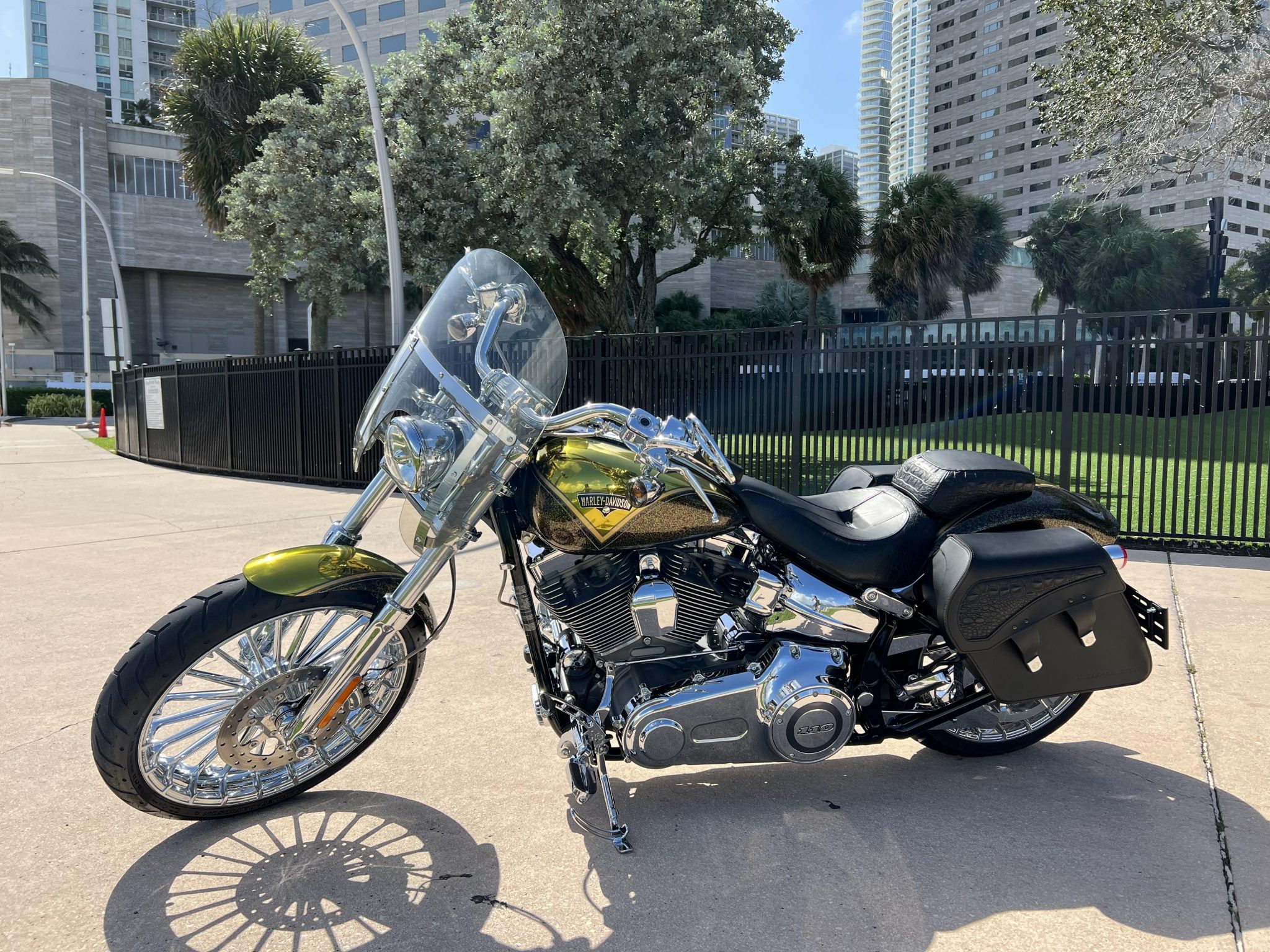 2013 Harley-Davidson Softail 