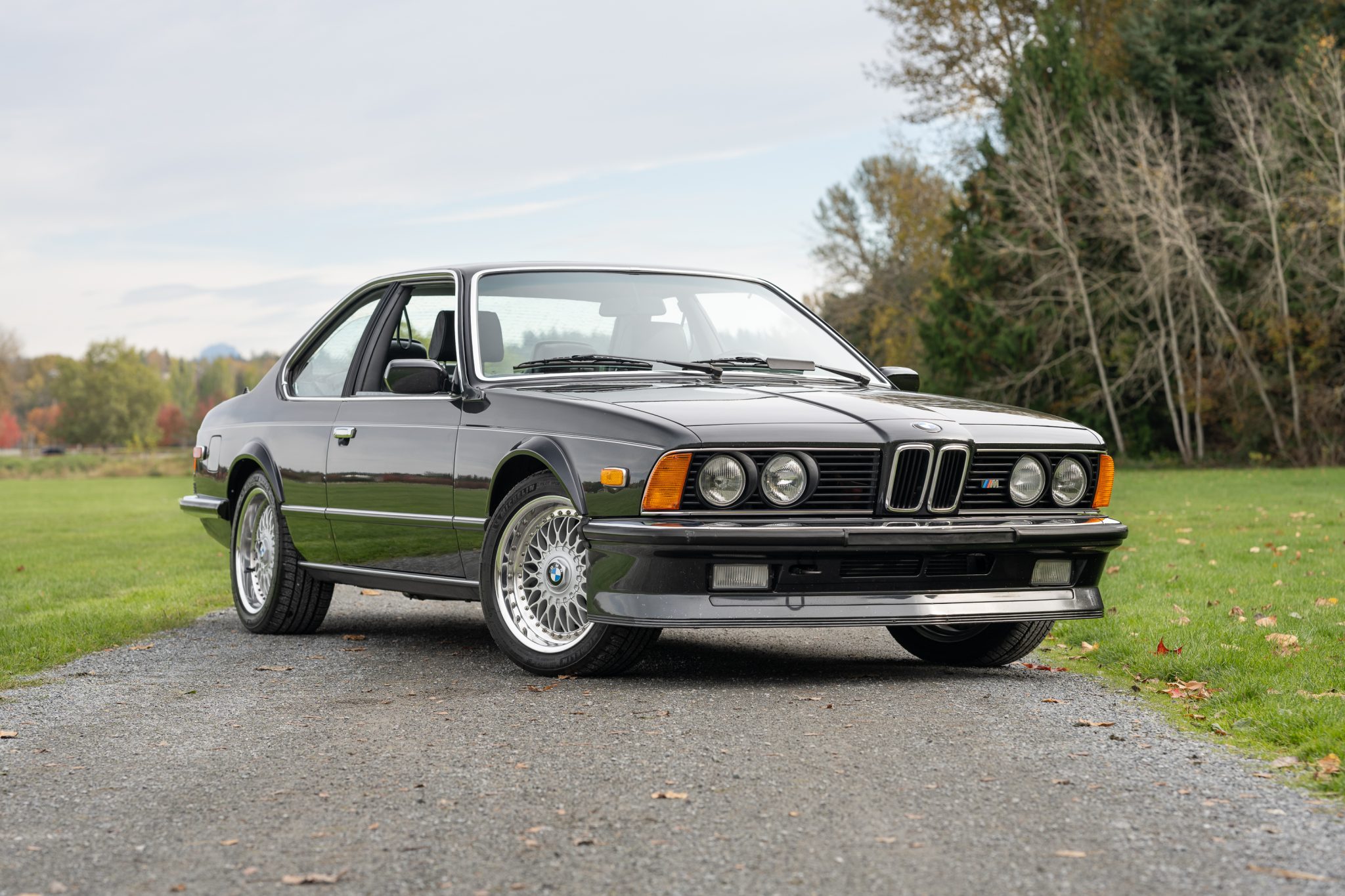 1985 BMW E24 M6 & M635CSi 