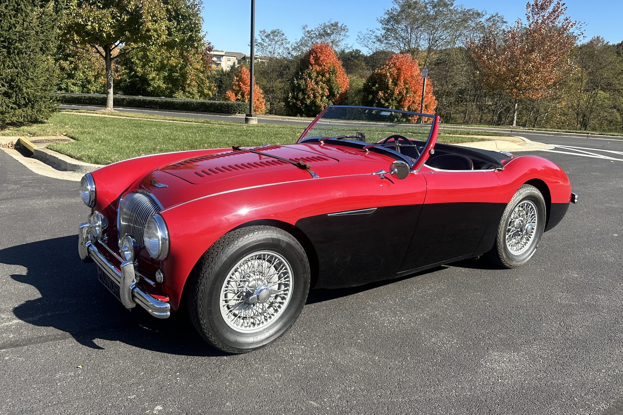 1956 Austin-Healey 100 