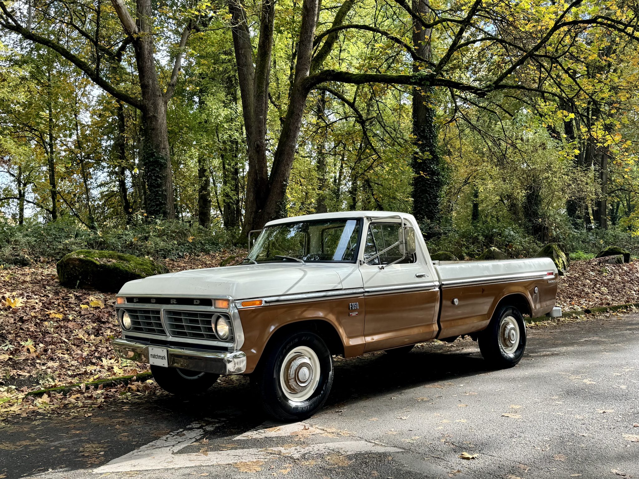 1973 Ford F-Series 1973-1979 
