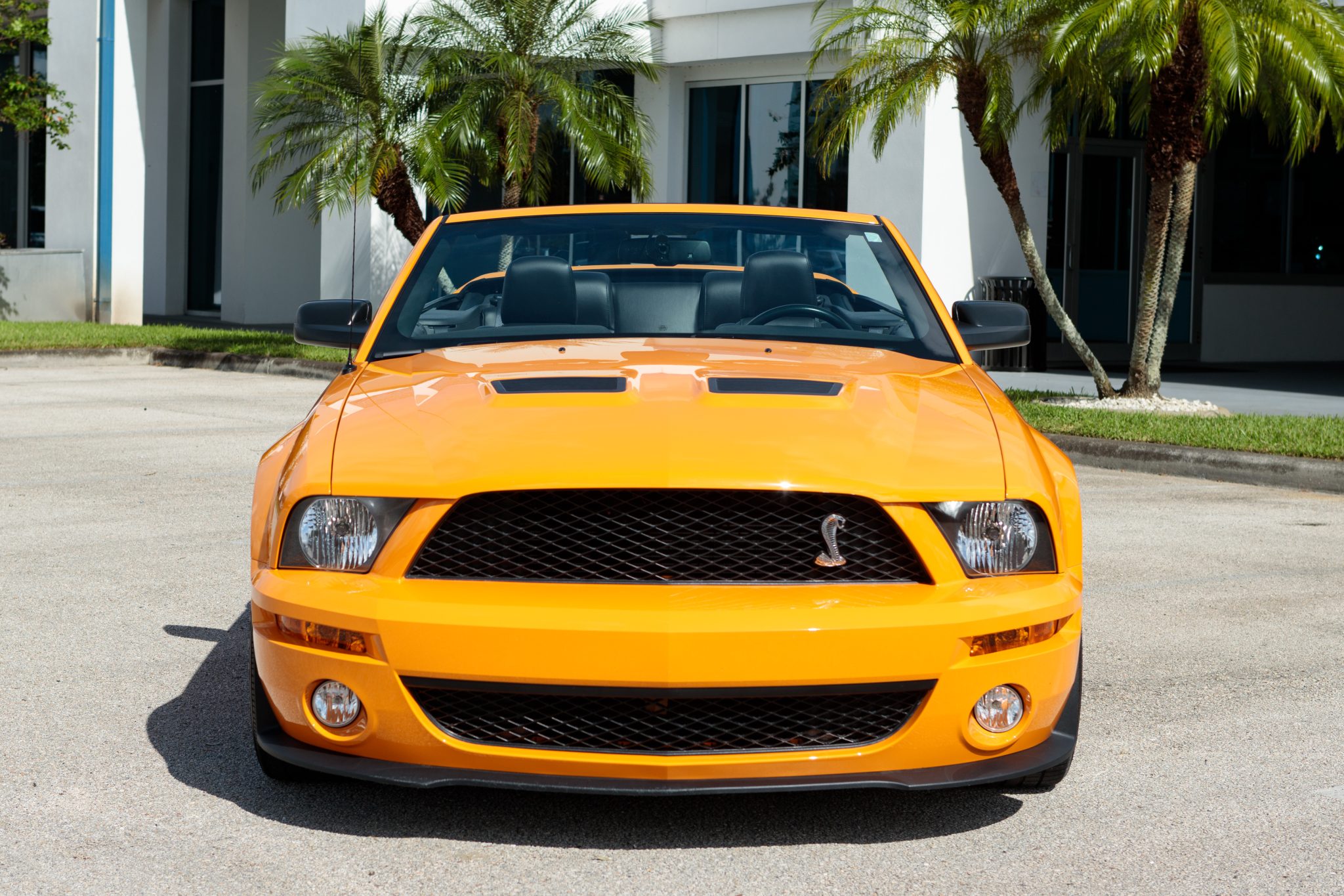 2007 Ford S197 Shelby Mustang 