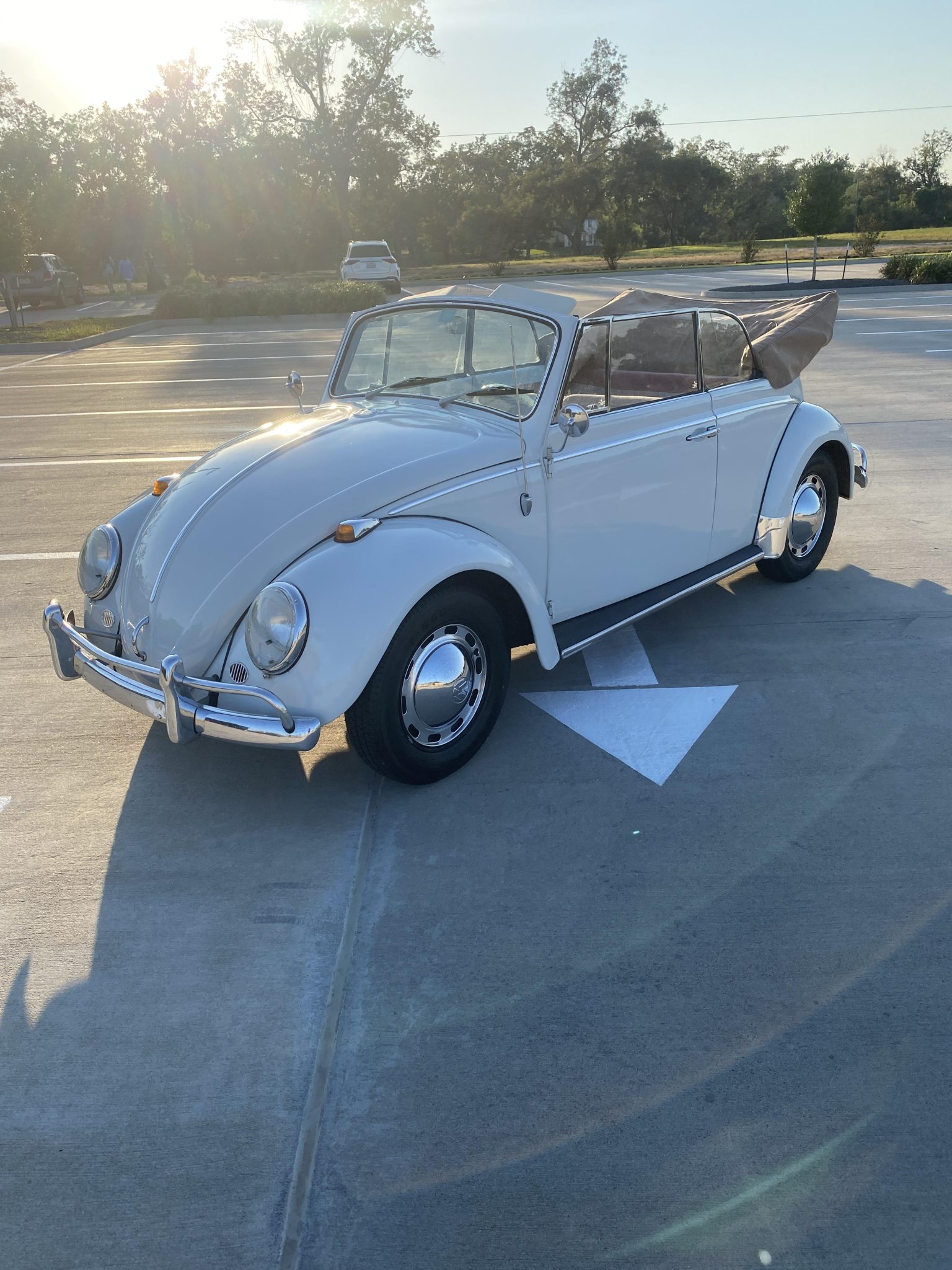 1965 Volkswagen Beetle (1958-1979) 