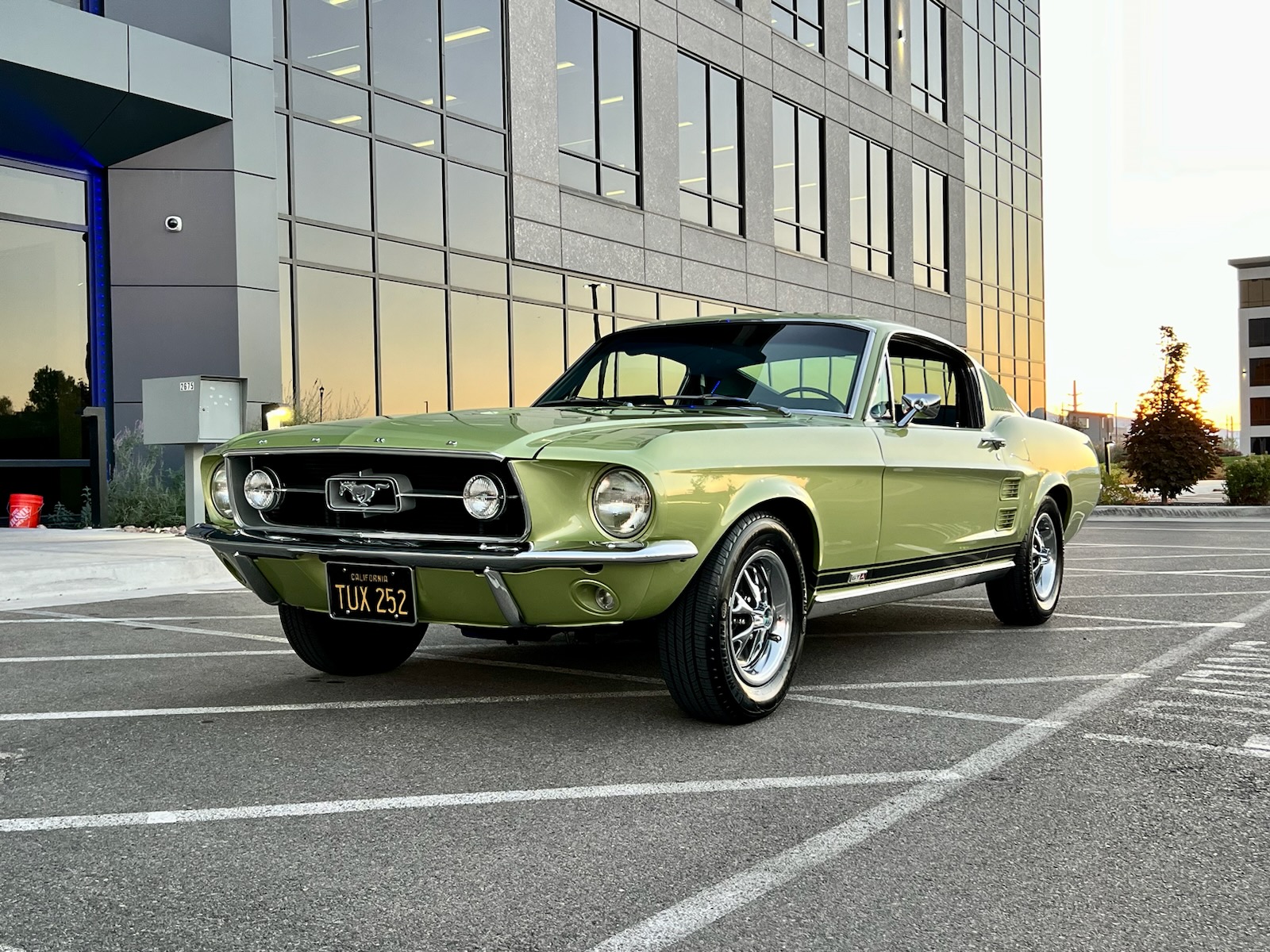 1967 Ford Mustang 1967-1968 