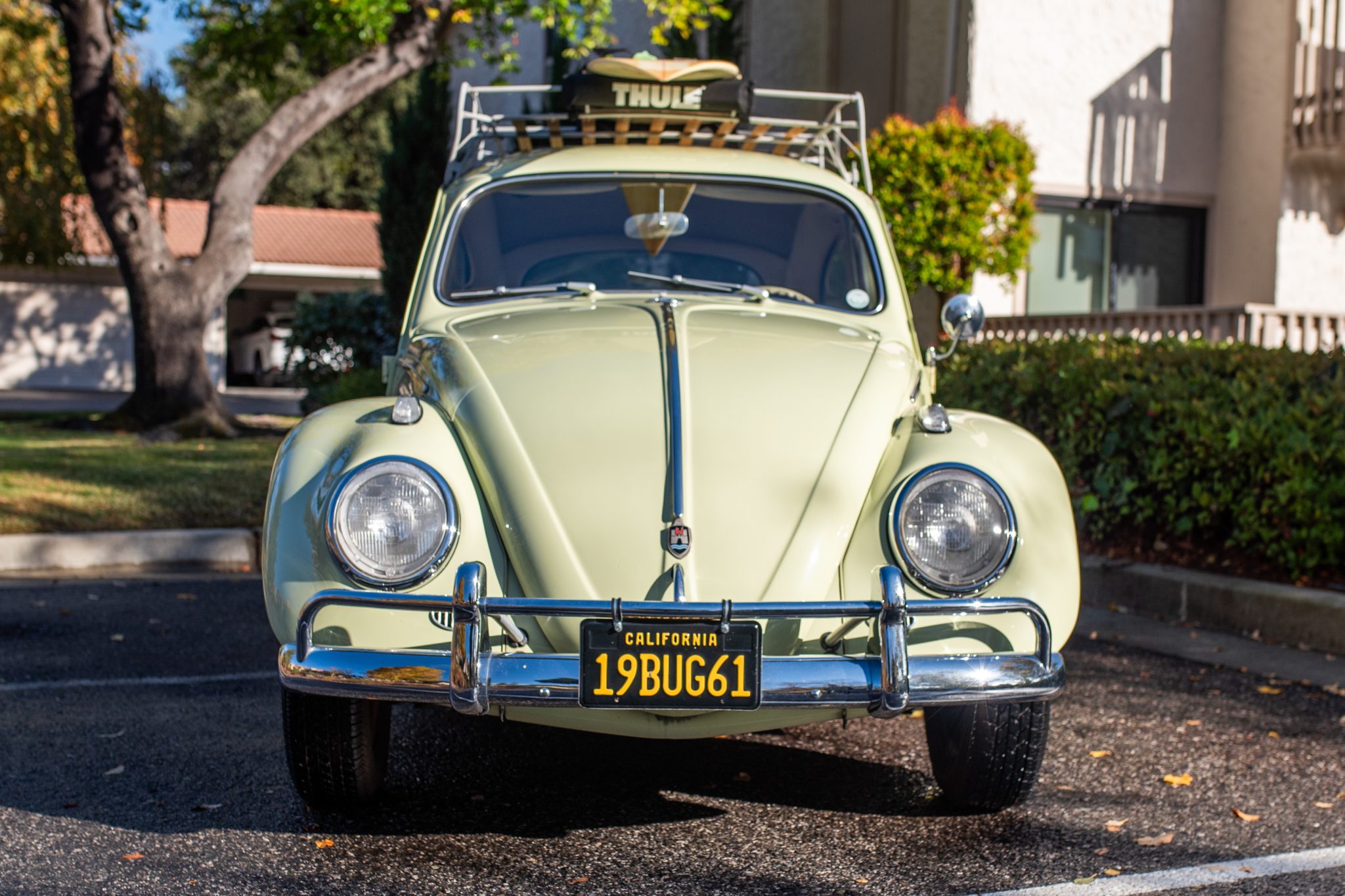 1961 Volkswagen Beetle (1958-1979) 