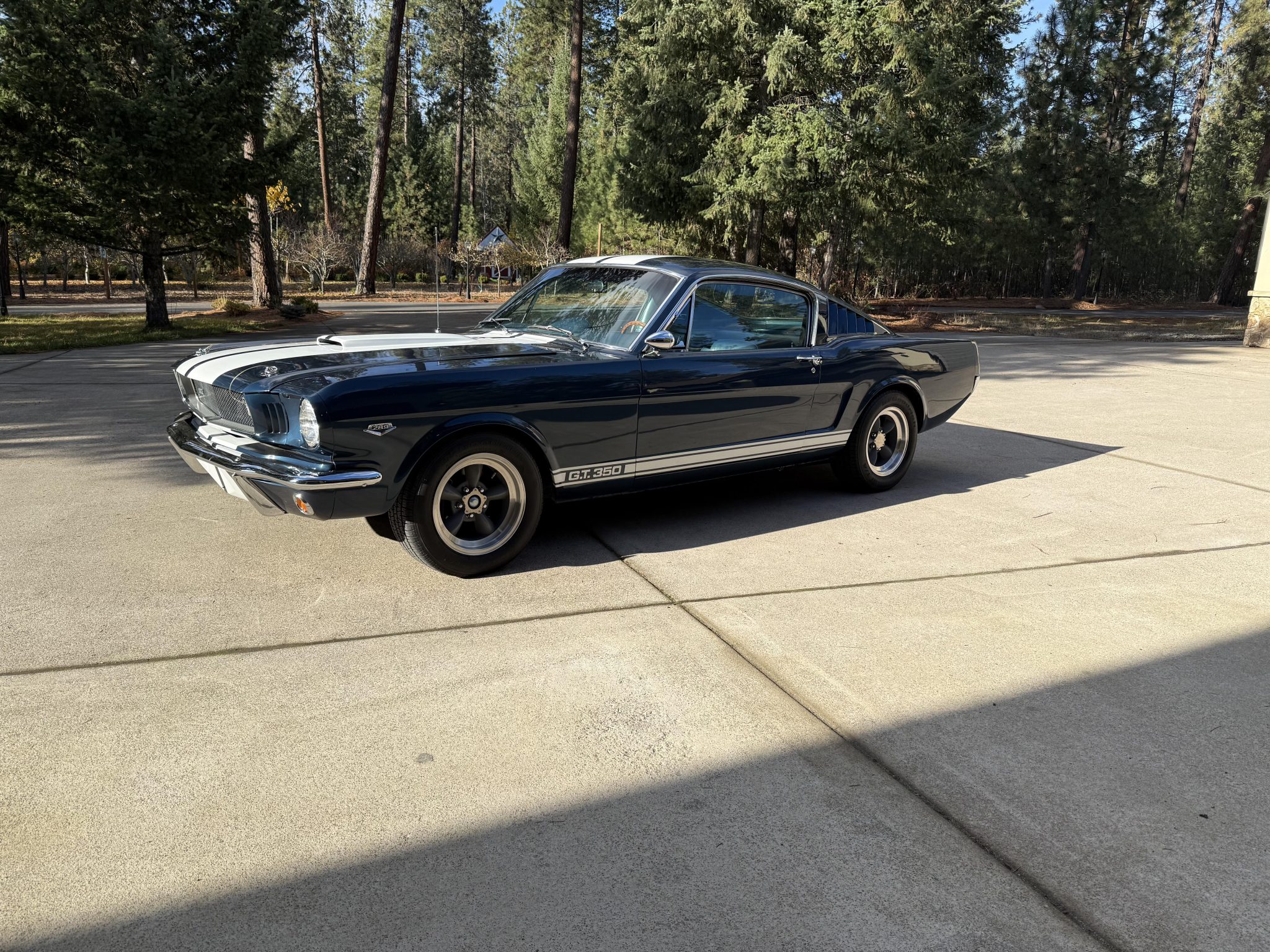 1965 Ford Mustang 1964.5-1966 