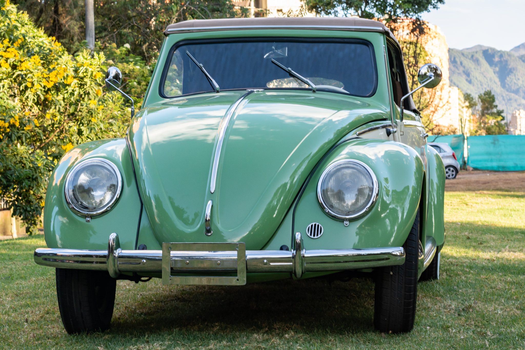 1951 Volkswagen Beetle (1958-1979) 