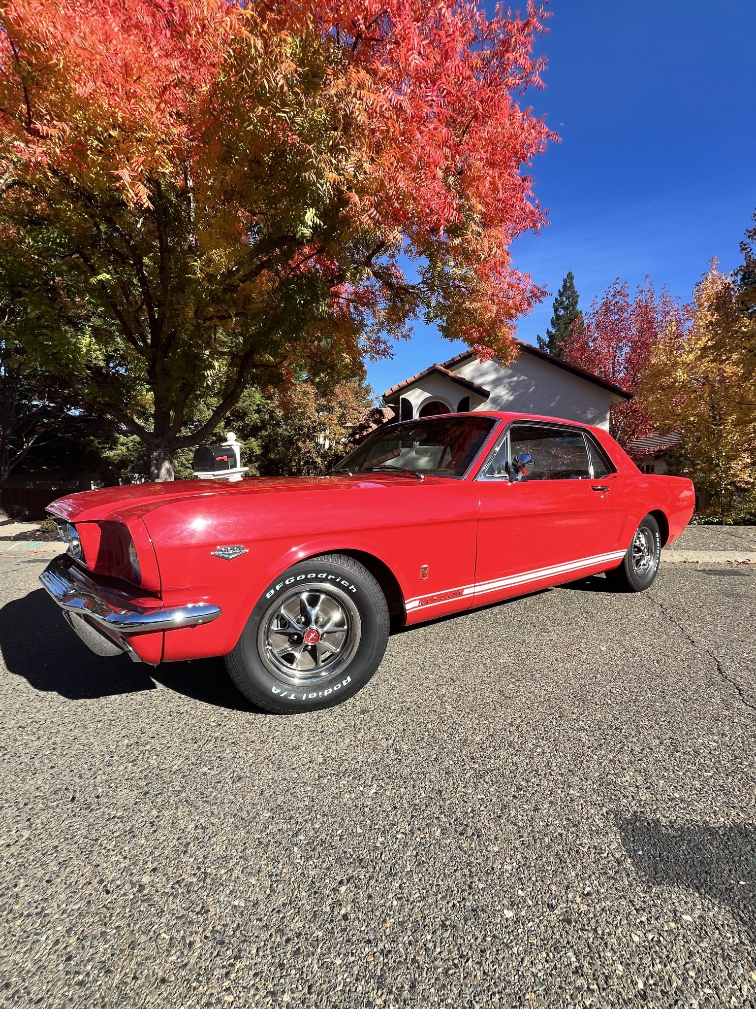 1966 Ford Mustang 1964.5-1966 