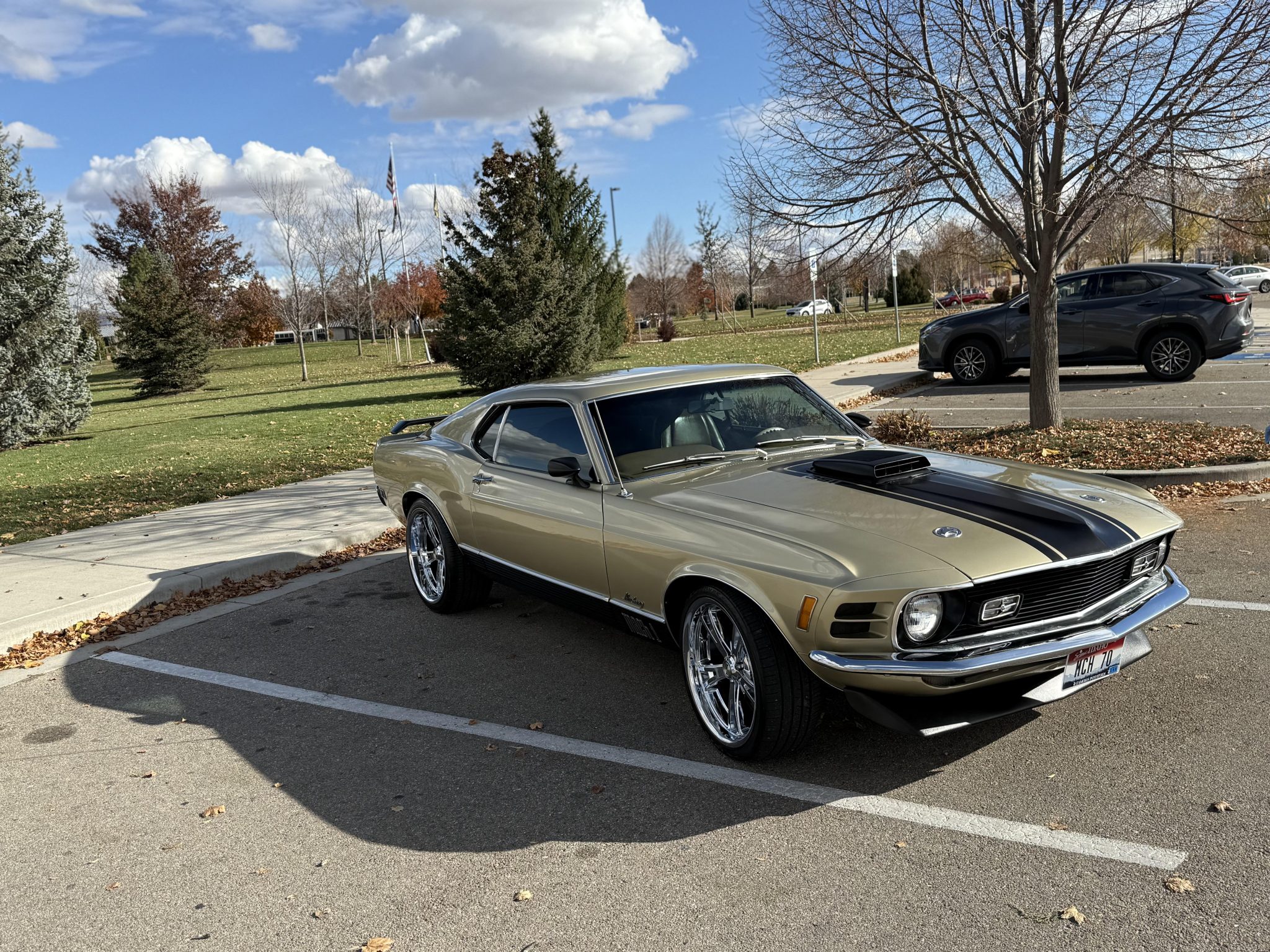1970 Ford Mustang 1969-1973 