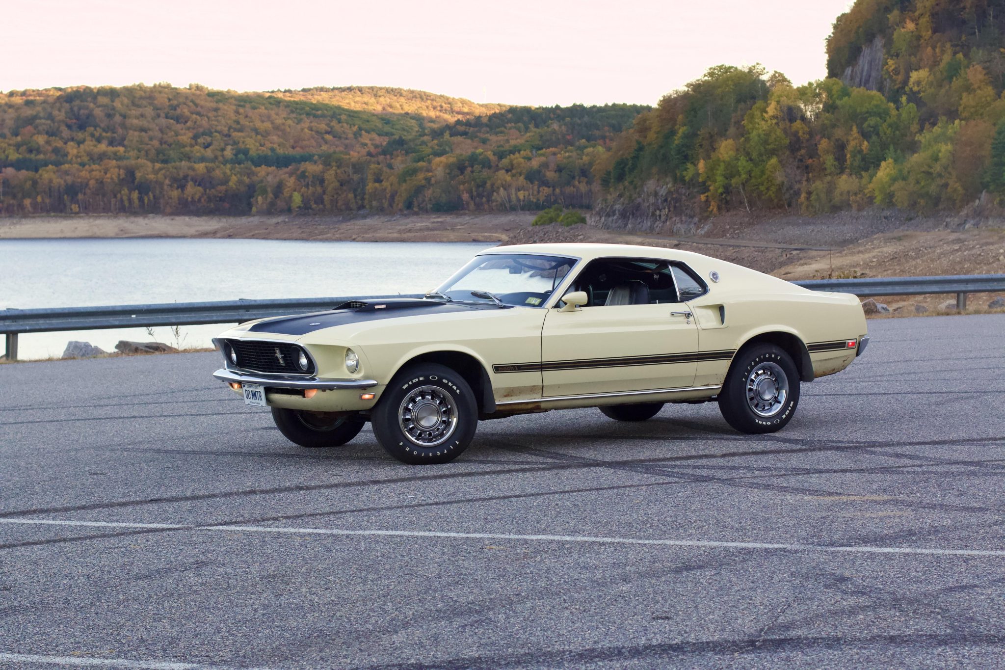 1969 Ford Mustang 1969-1973 