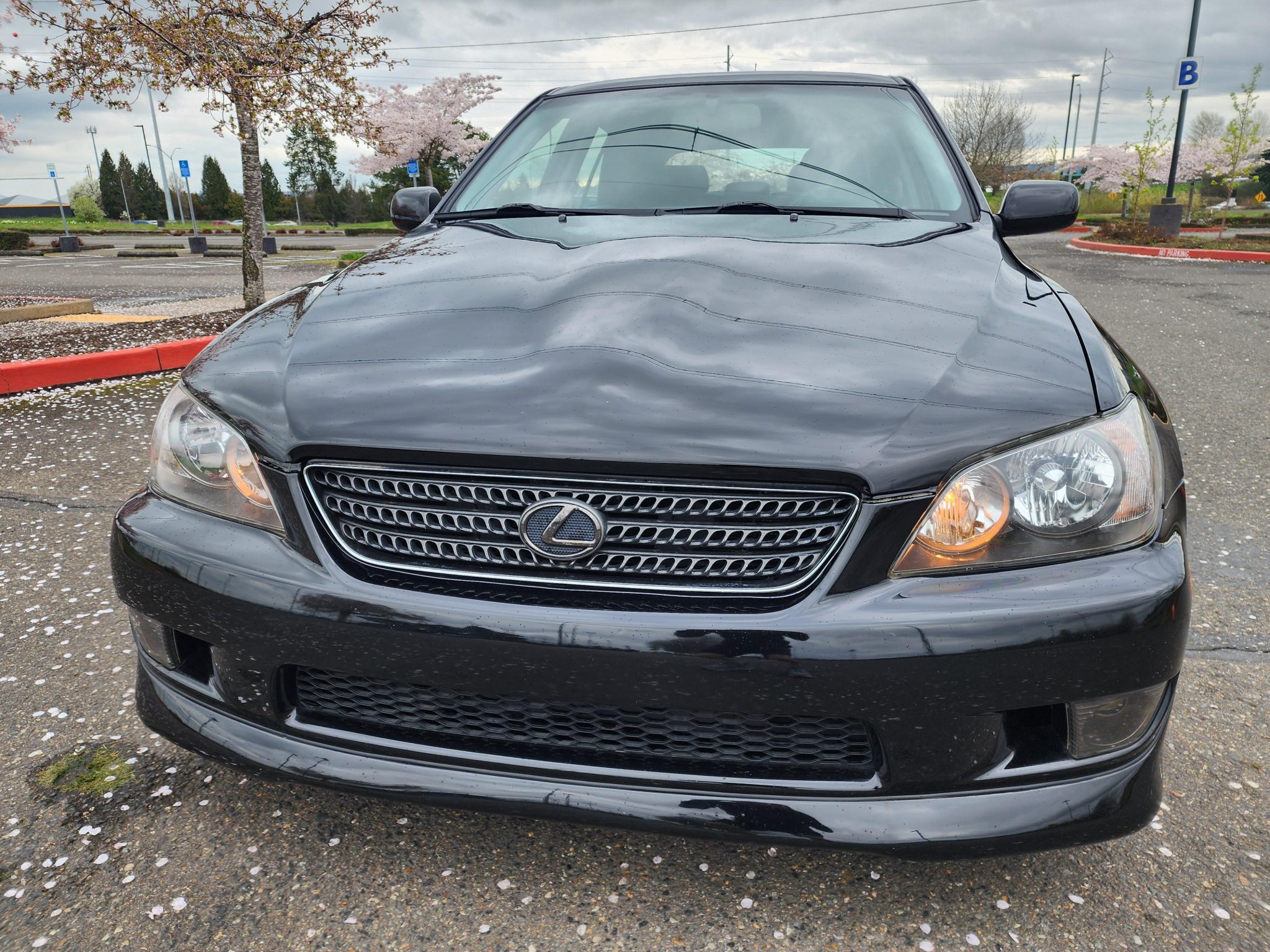 2005 Lexus IS 