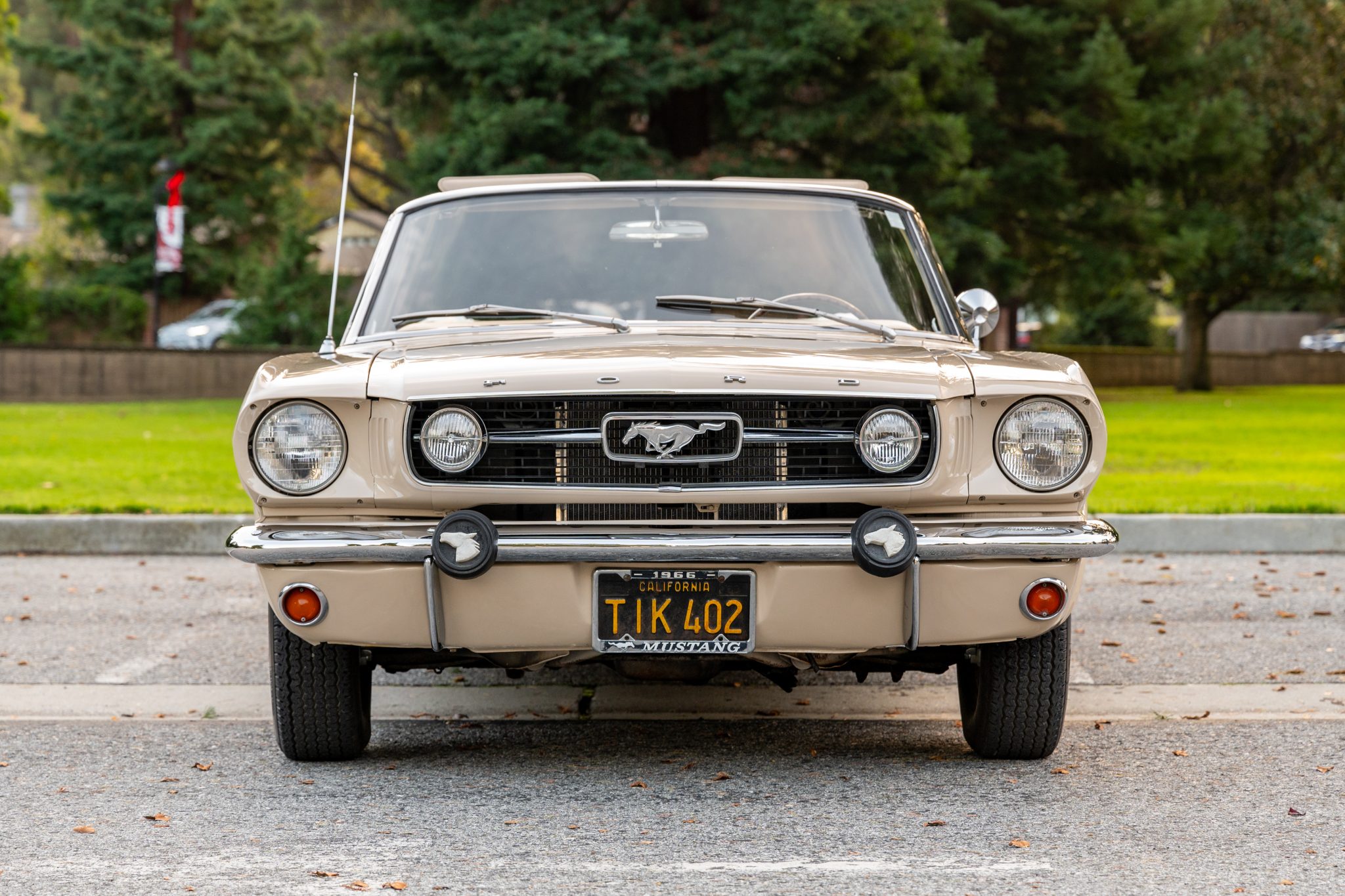 1966 Ford Mustang 1964.5-1966 