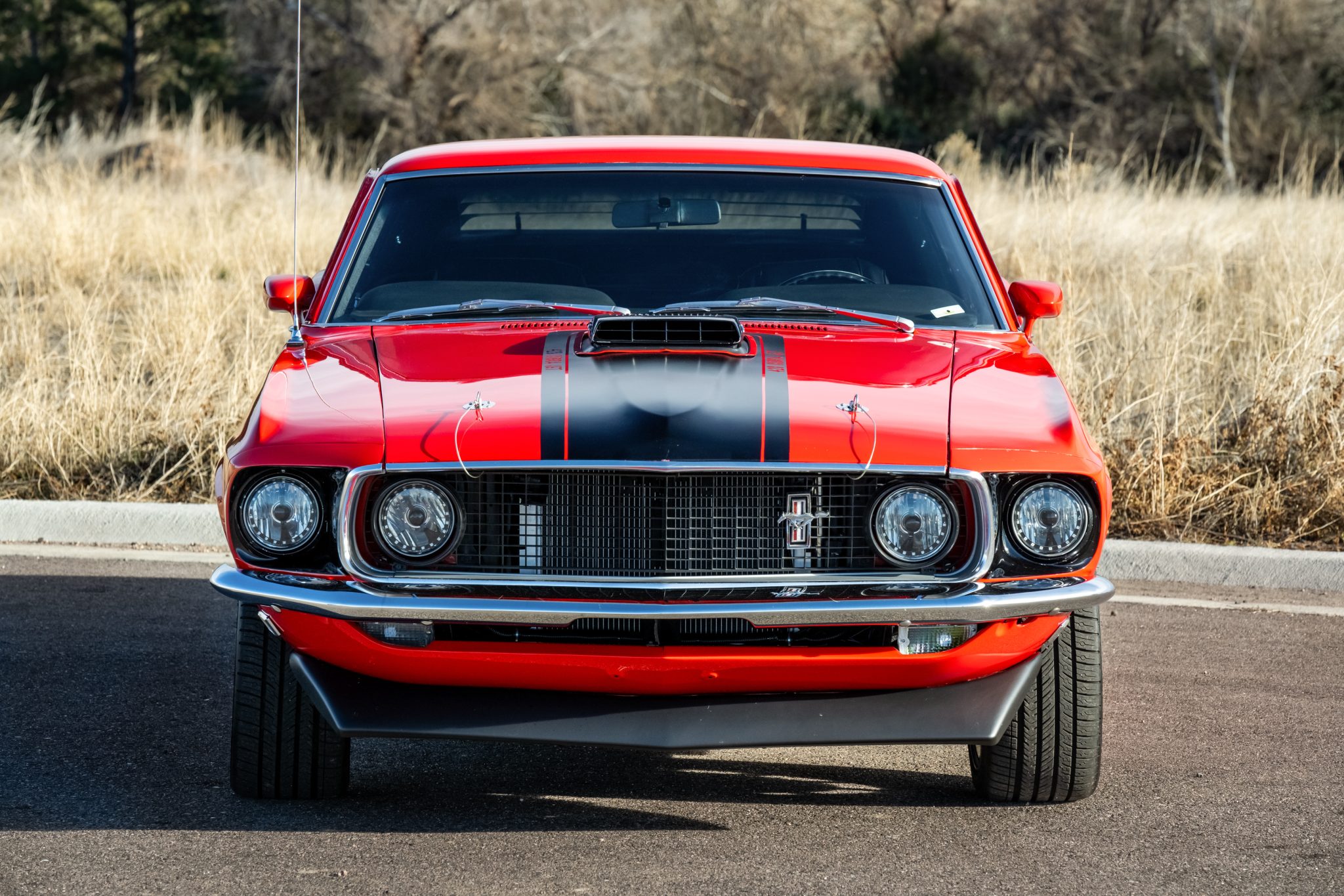 1969 Ford Mustang 1969-1973 