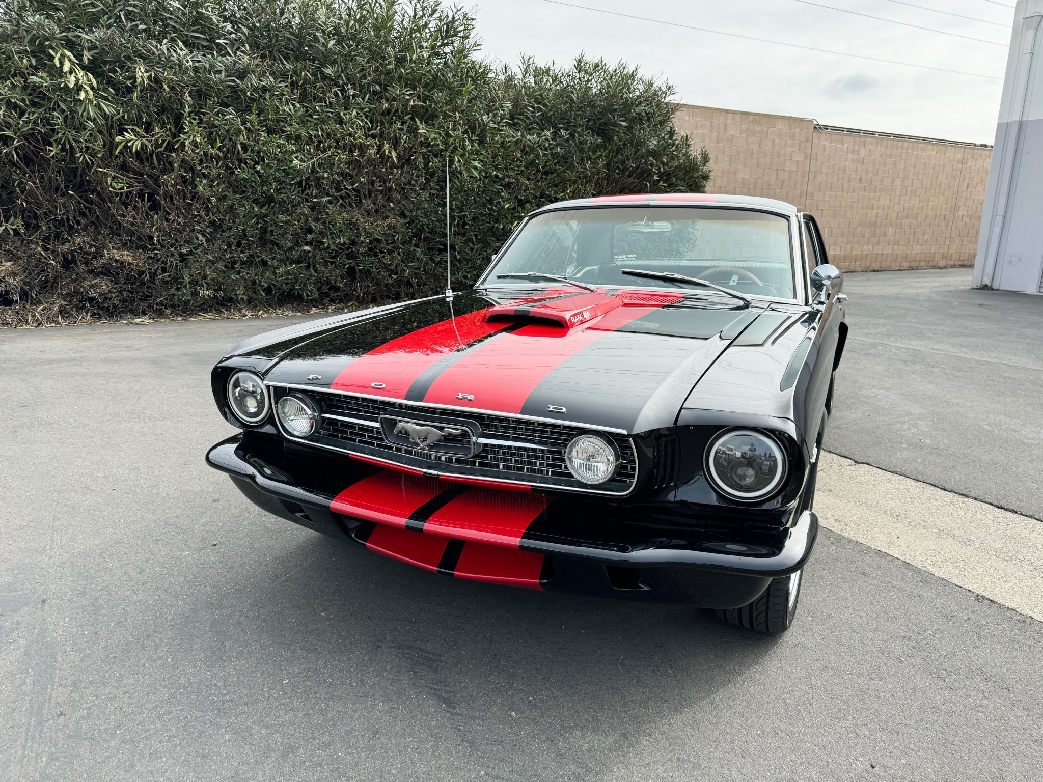 1966 Ford Mustang 1964.5-1966 