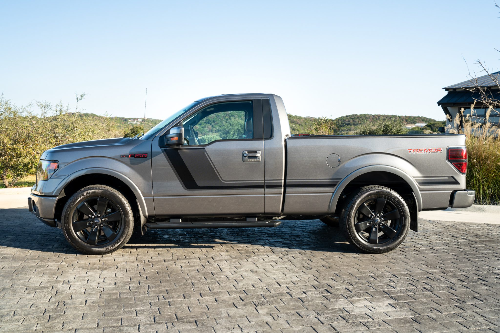 2014 Ford F-150 (2009-2014) 