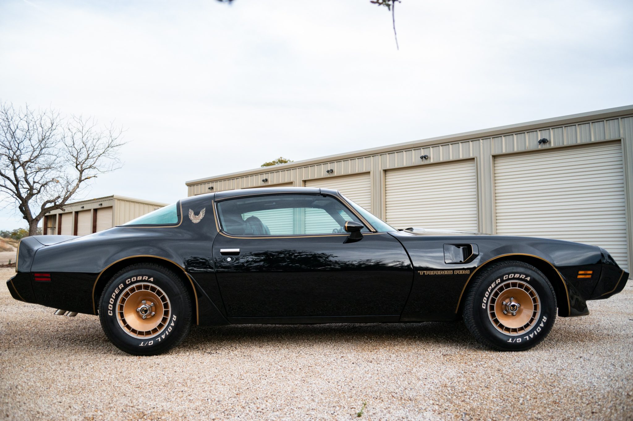 1981 Pontiac Firebird (1970-1981) 