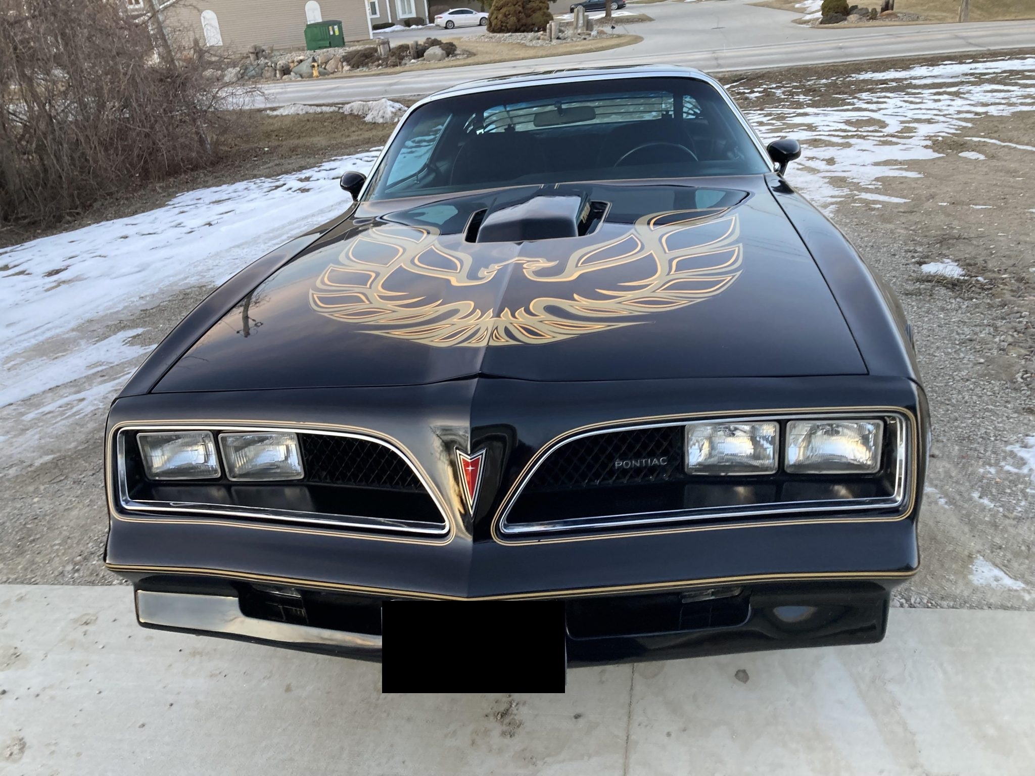 1978 Pontiac Firebird (1970-1981) 