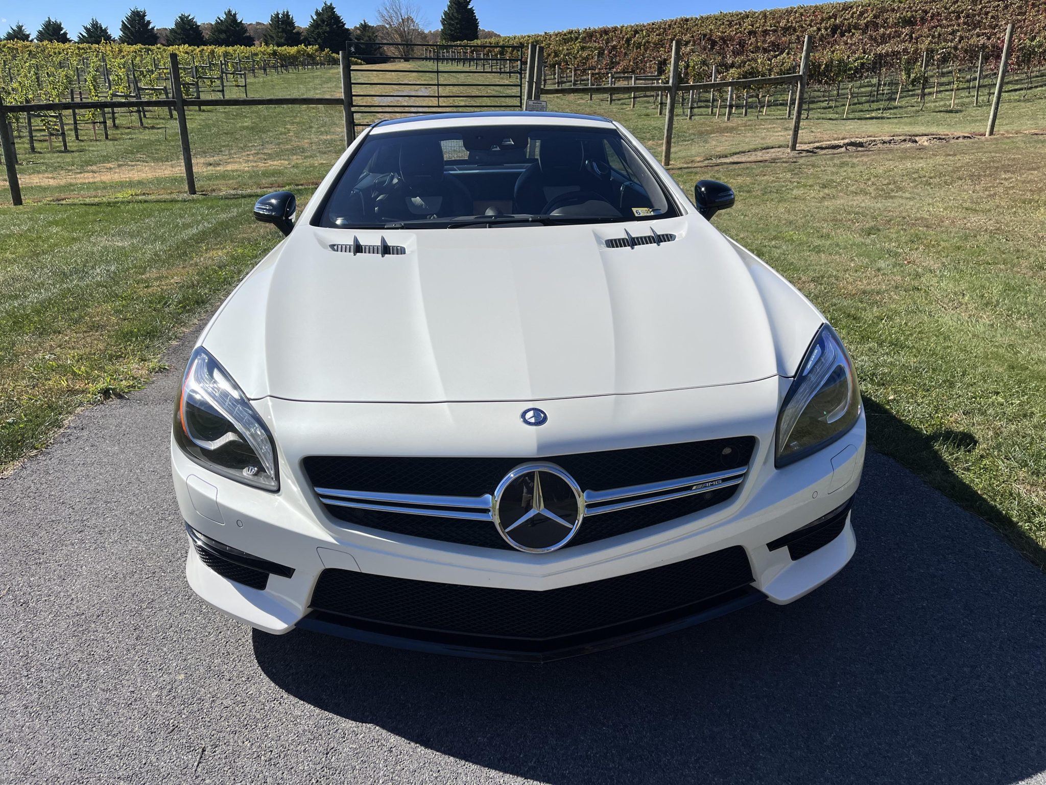 2015 Mercedes-Benz R231 SL 